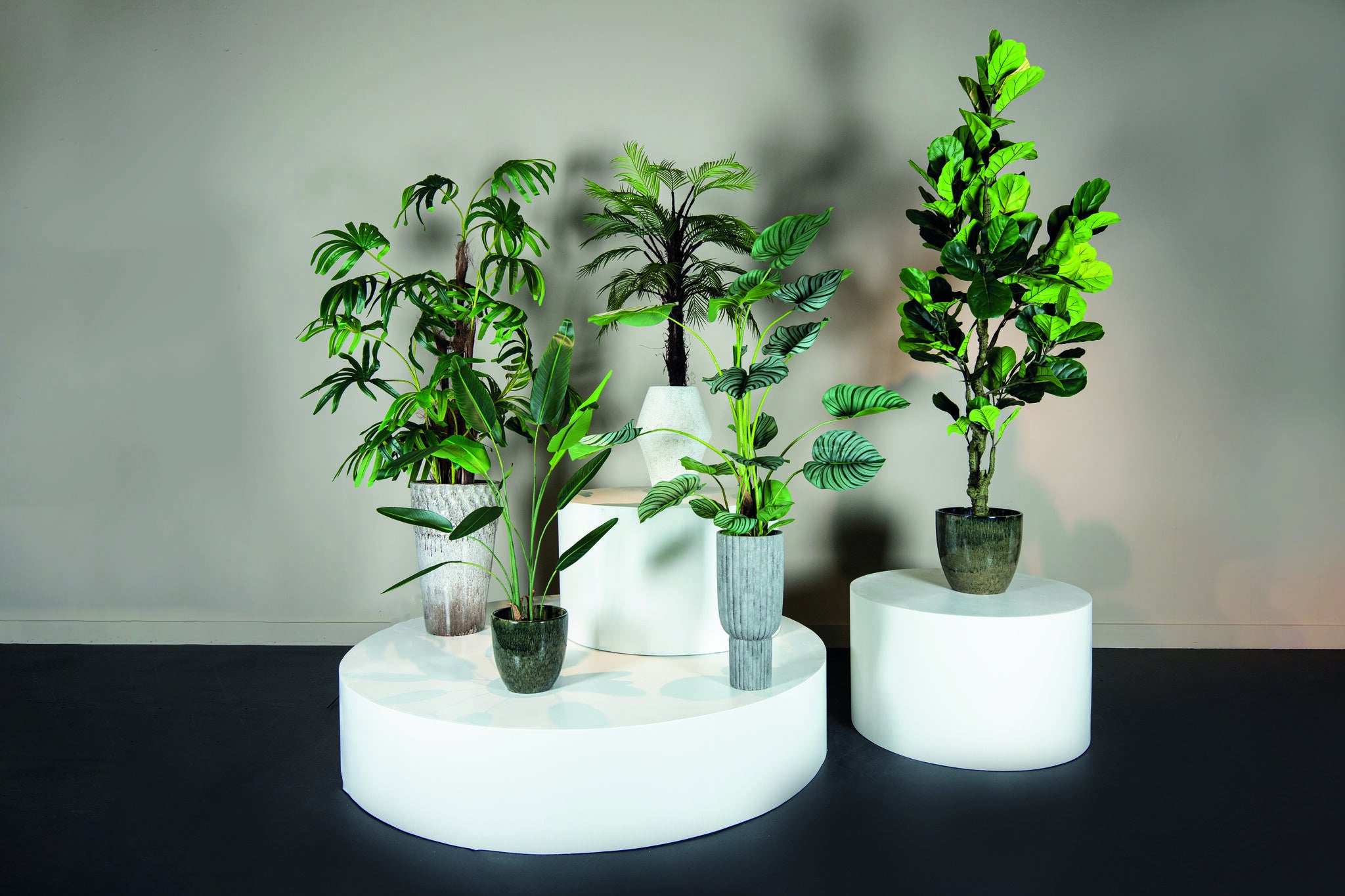 ptmd-official-dealer-kunstplant-groene-palm-h145-x