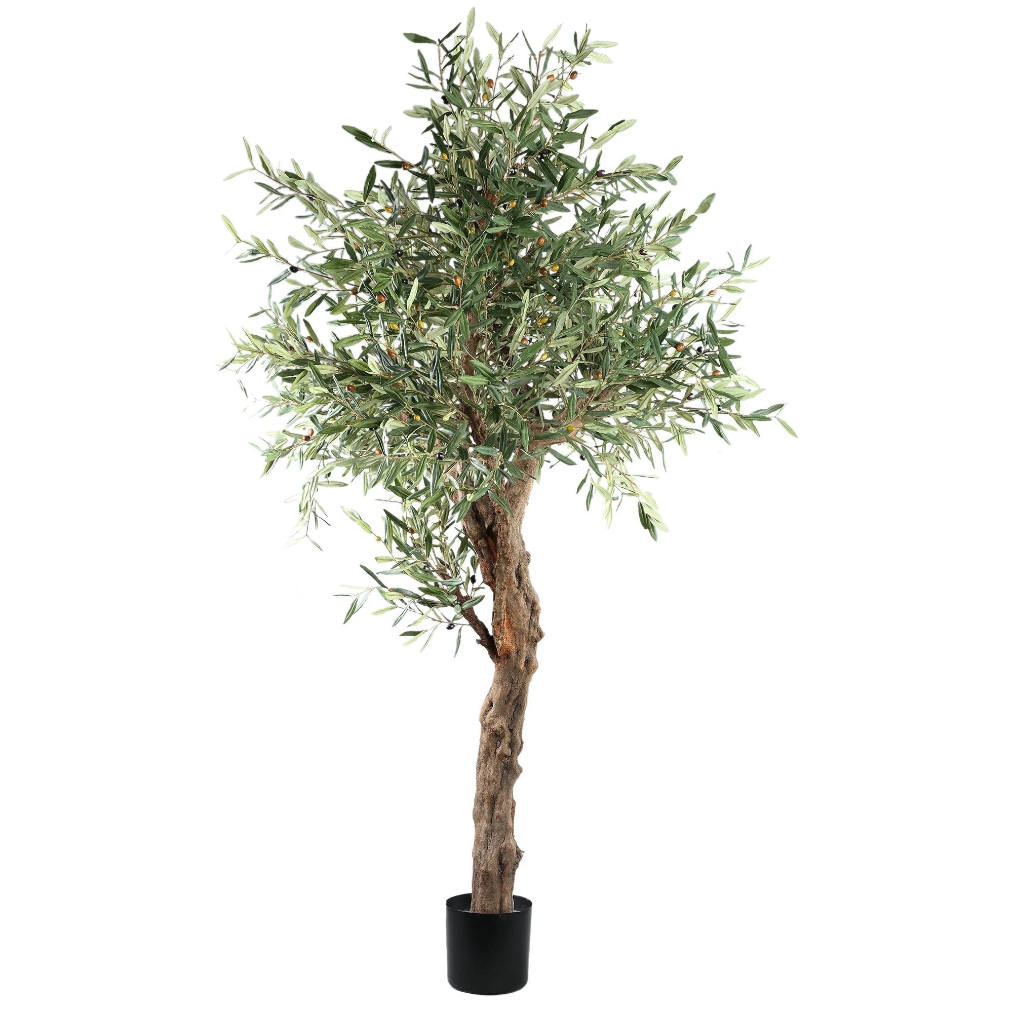 Groene Olijfboom In Pot 210cm by PTMD