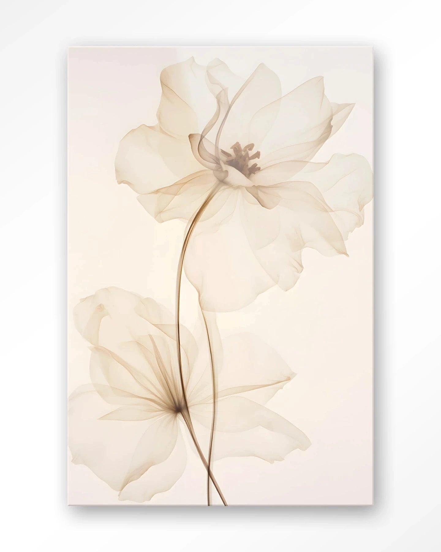 White Flowers - Moderne Wanddecoratie | Artprint, Glass Art & Wandkleed by Urban Cotton
