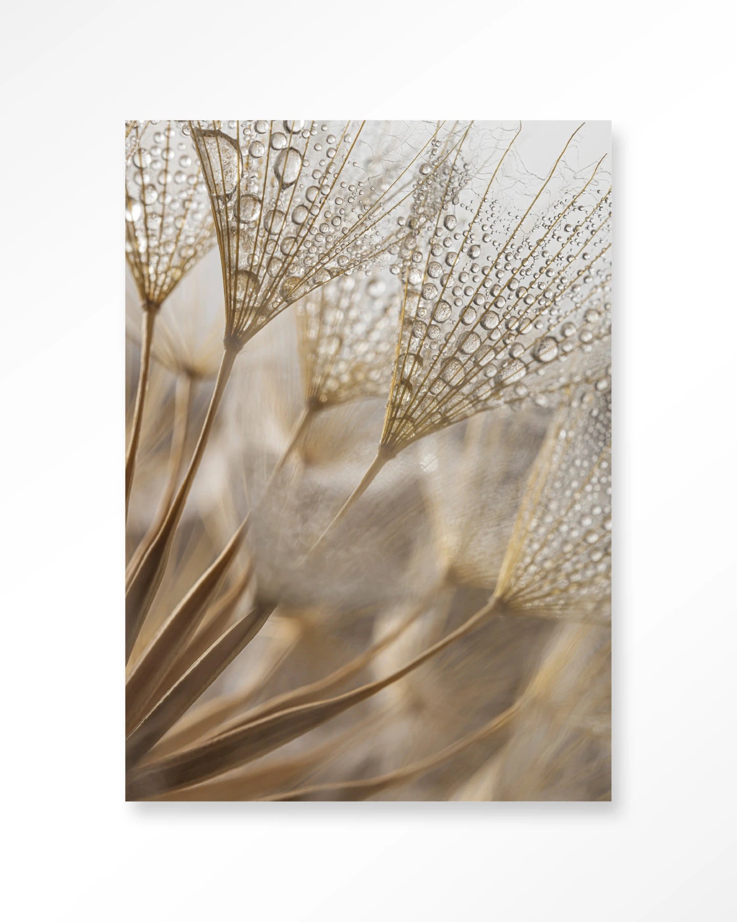 Natuurlijke Abstractie - depauwwonen