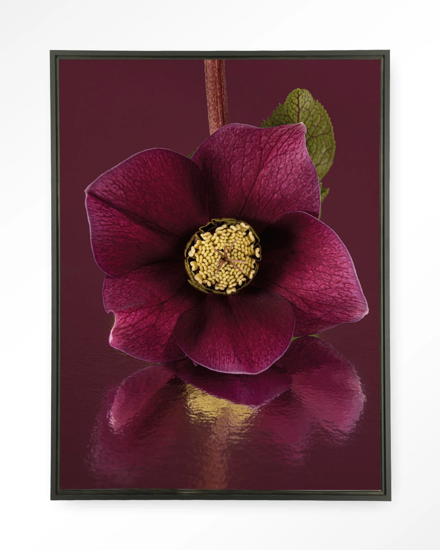 De Elegantie Van De Kerstroos - depauwwonen