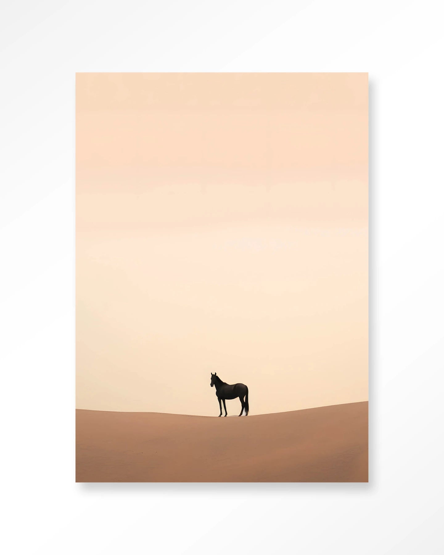 Desert Horse
