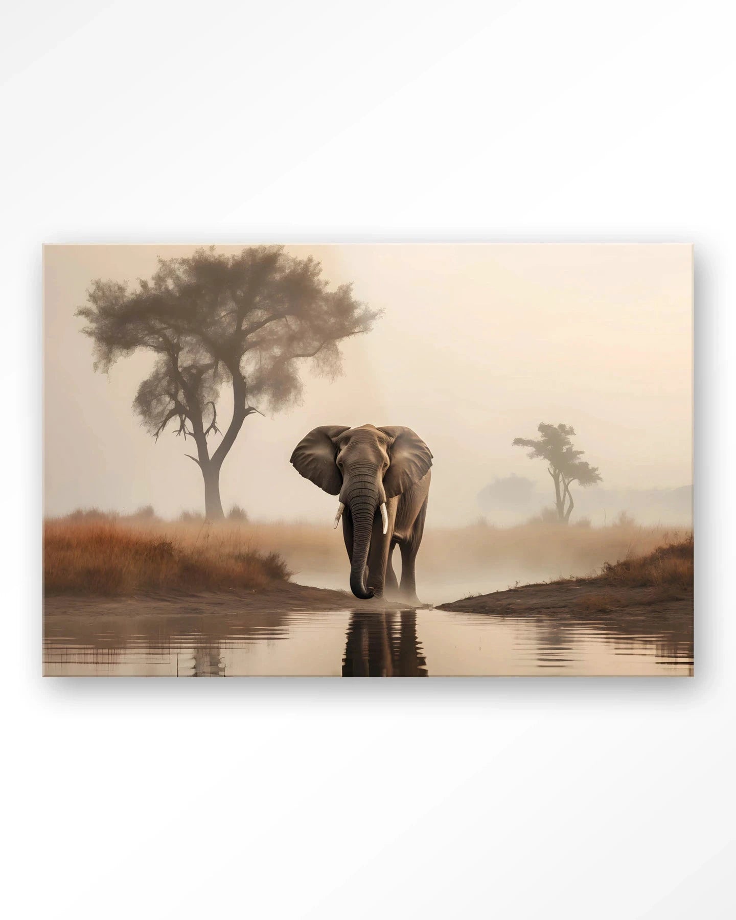 Savannah Elephant - Moderne Wanddecoratie | Artprint, Glass Art & Wandkleed by Urban Cotton