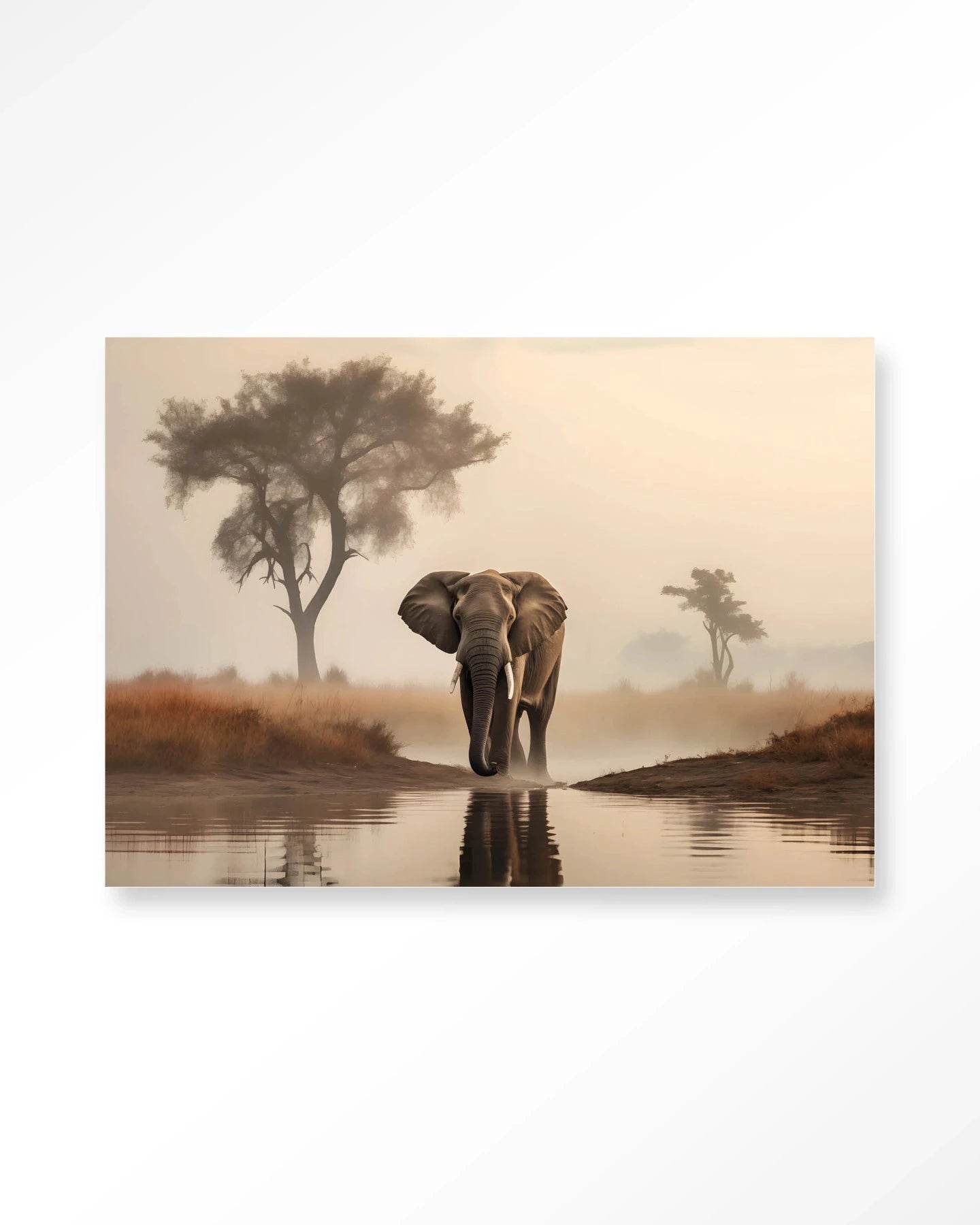 Savannah Elephant - Moderne Wanddecoratie | Artprint, Glass Art & Wandkleed by Urban Cotton