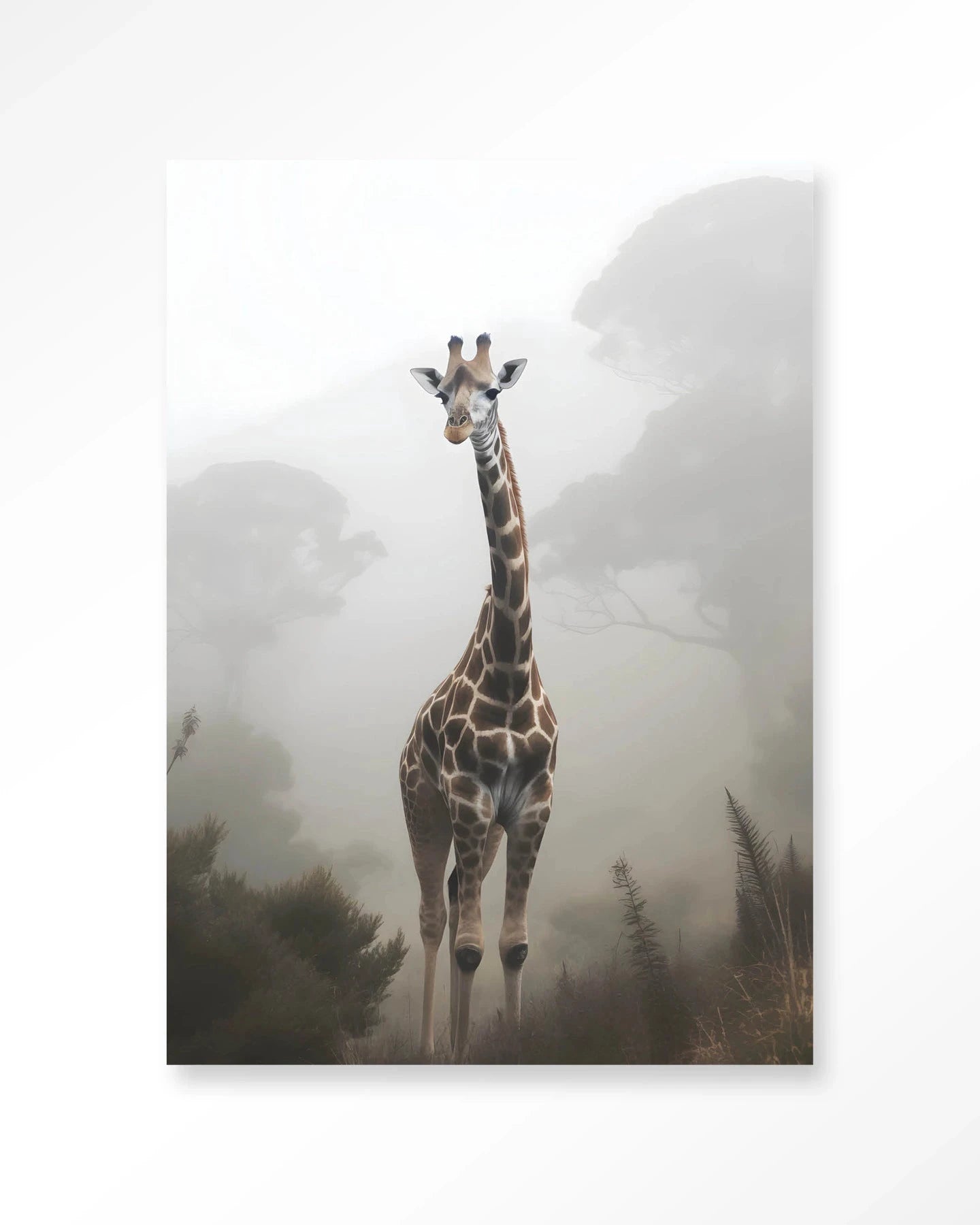 Giraffe Mist - Moderne Wanddecoratie | Artprint, Glass Art & Wandkleed by Urban Cotton