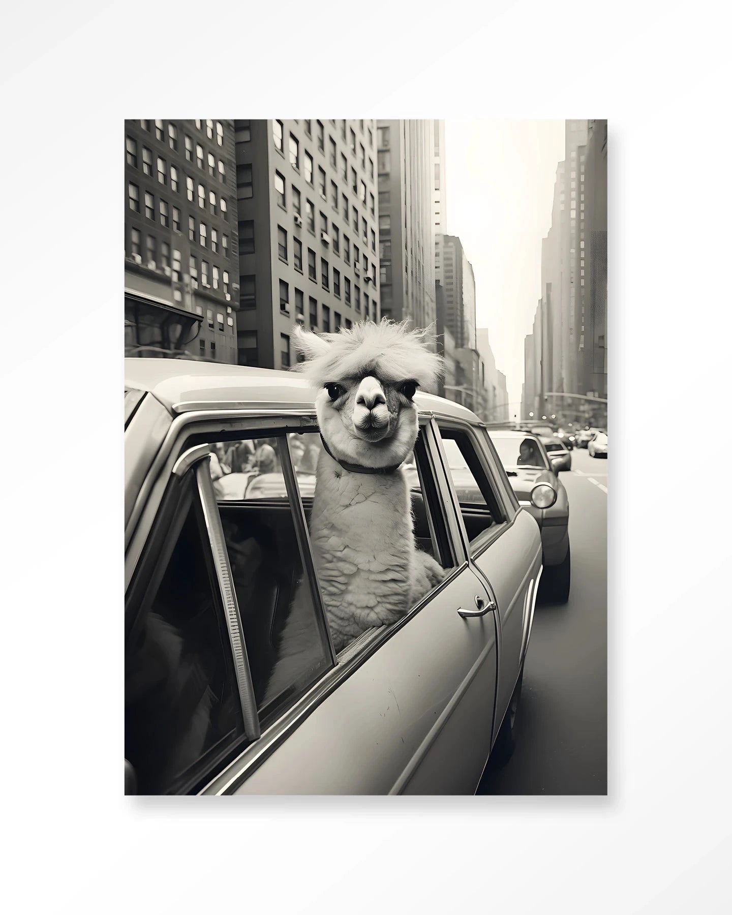 Alpaca In NY - Moderne Wanddecoratie | Artprint, Glass Art & Wandkleed by Urban Cotton
