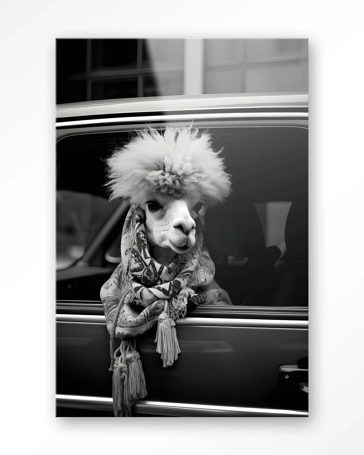 Alpaca In Taxi - Moderne Wanddecoratie | Artprint, Glass Art & Wandkleed by Urban Cotton