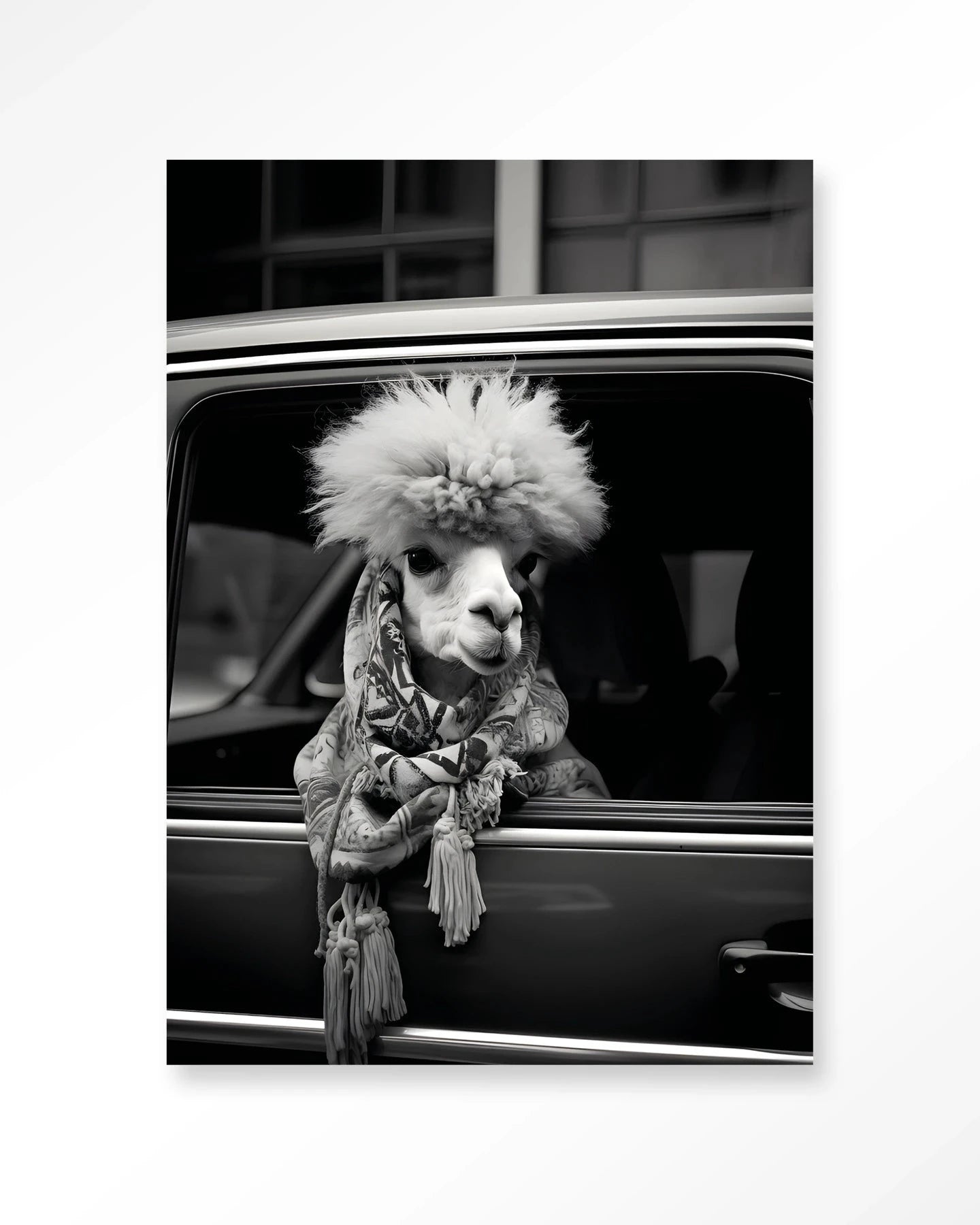 Alpaca In Taxi - Moderne Wanddecoratie | Artprint, Glass Art & Wandkleed by Urban Cotton