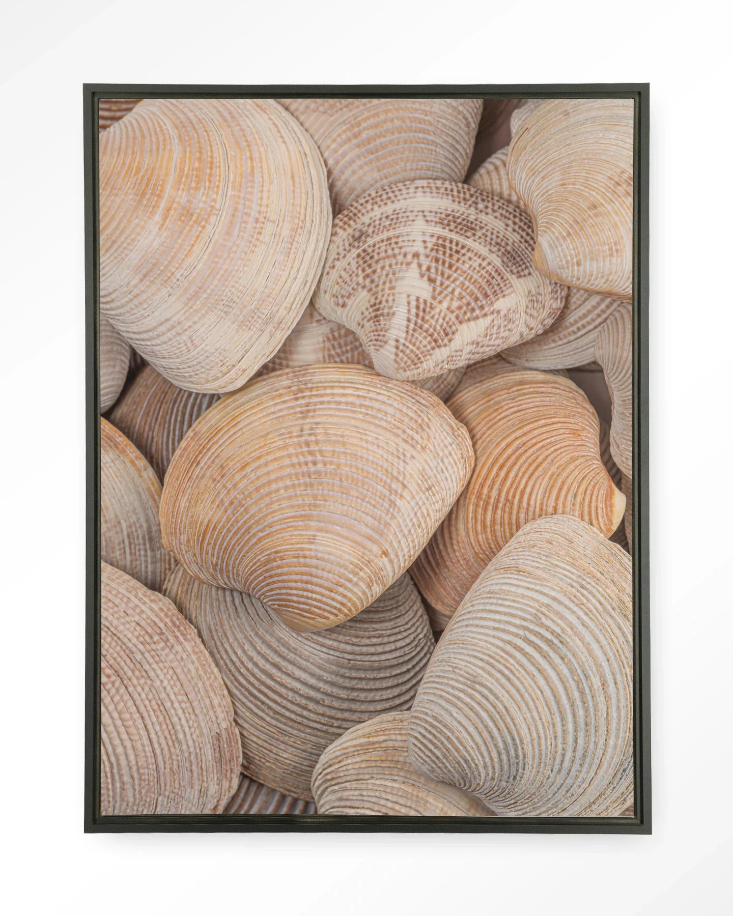 Tijdloze Rust: In Een Zee Van Schelpen - Moderne Wanddecoratie | Artprint, Glass Art, Wandkleed by Urban Cotton
