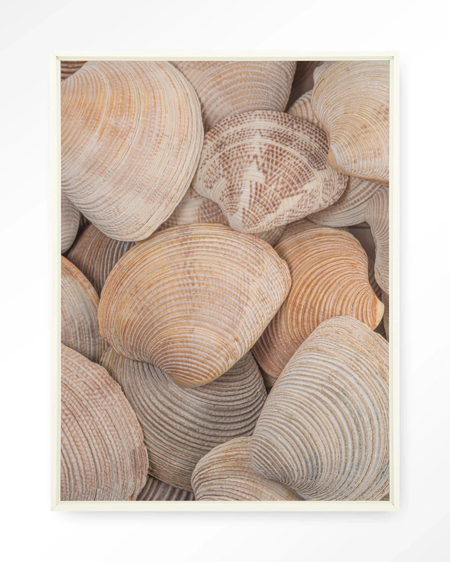 Tijdloze Rust: In Een Zee Van Schelpen - Moderne Wanddecoratie | Artprint, Glass Art, Wandkleed by Urban Cotton