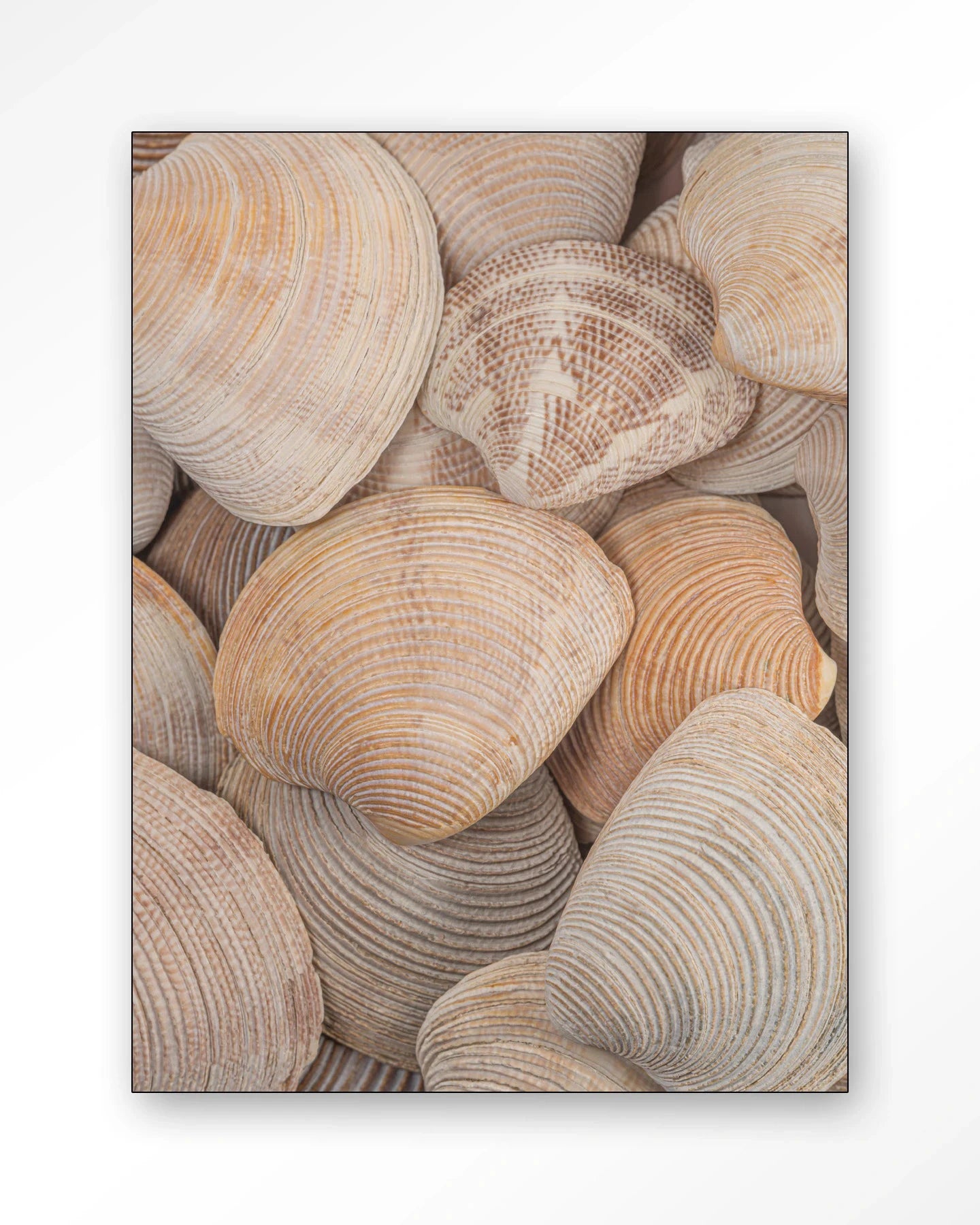 Tijdloze Rust: In Een Zee Van Schelpen - Moderne Wanddecoratie | Artprint, Glass Art, Wandkleed by Urban Cotton