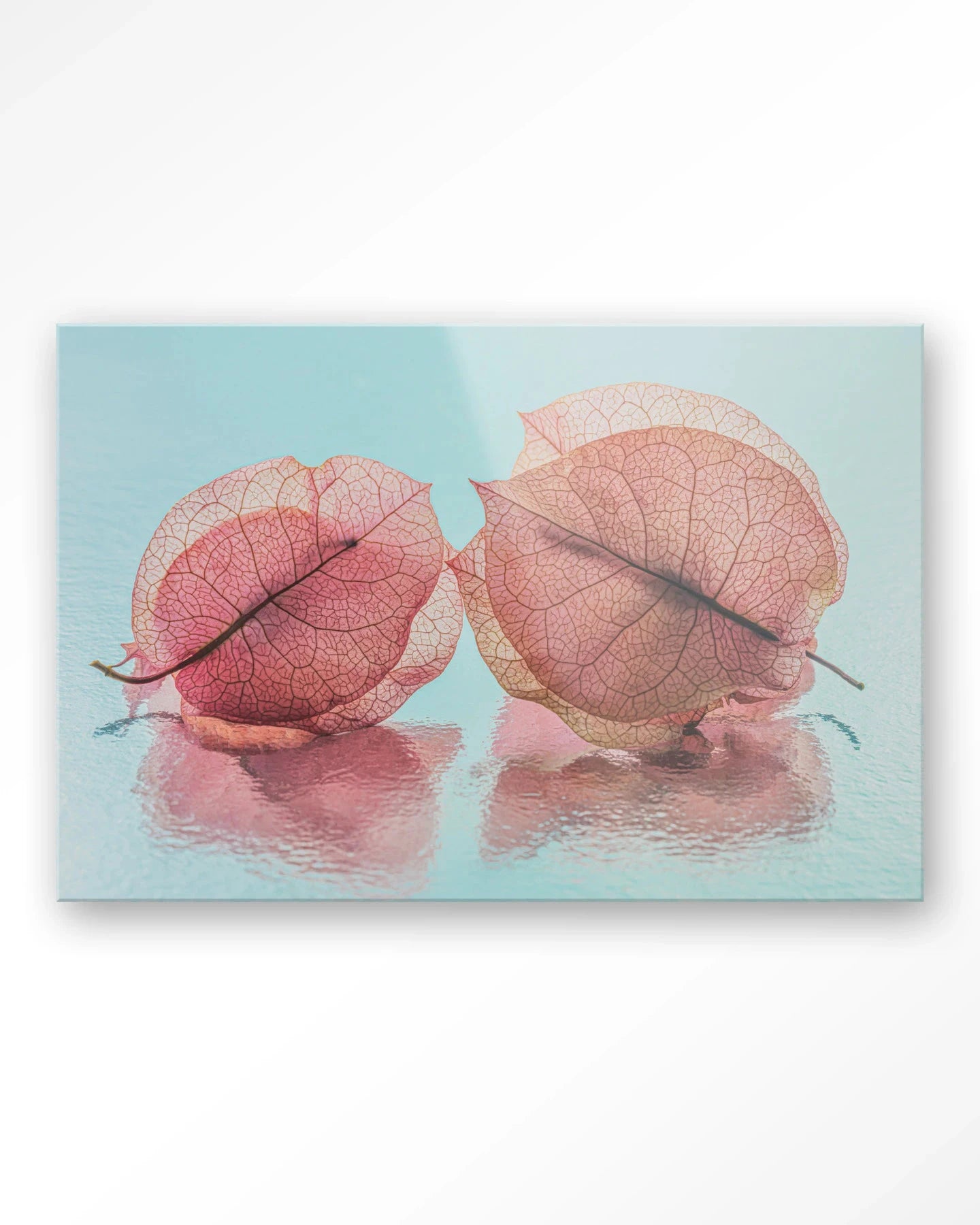 Fragiel Maar Samen - Moderne Wanddecoratie | Artprint, Glass Art, Wandkleed by Urban Cotton