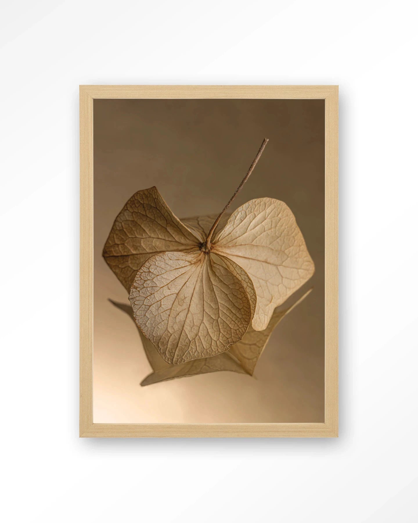Leaf Me: Sheltered - Moderne Wanddecoratie | Artprint, Glass Art, Wandkleed by Urban Cotton