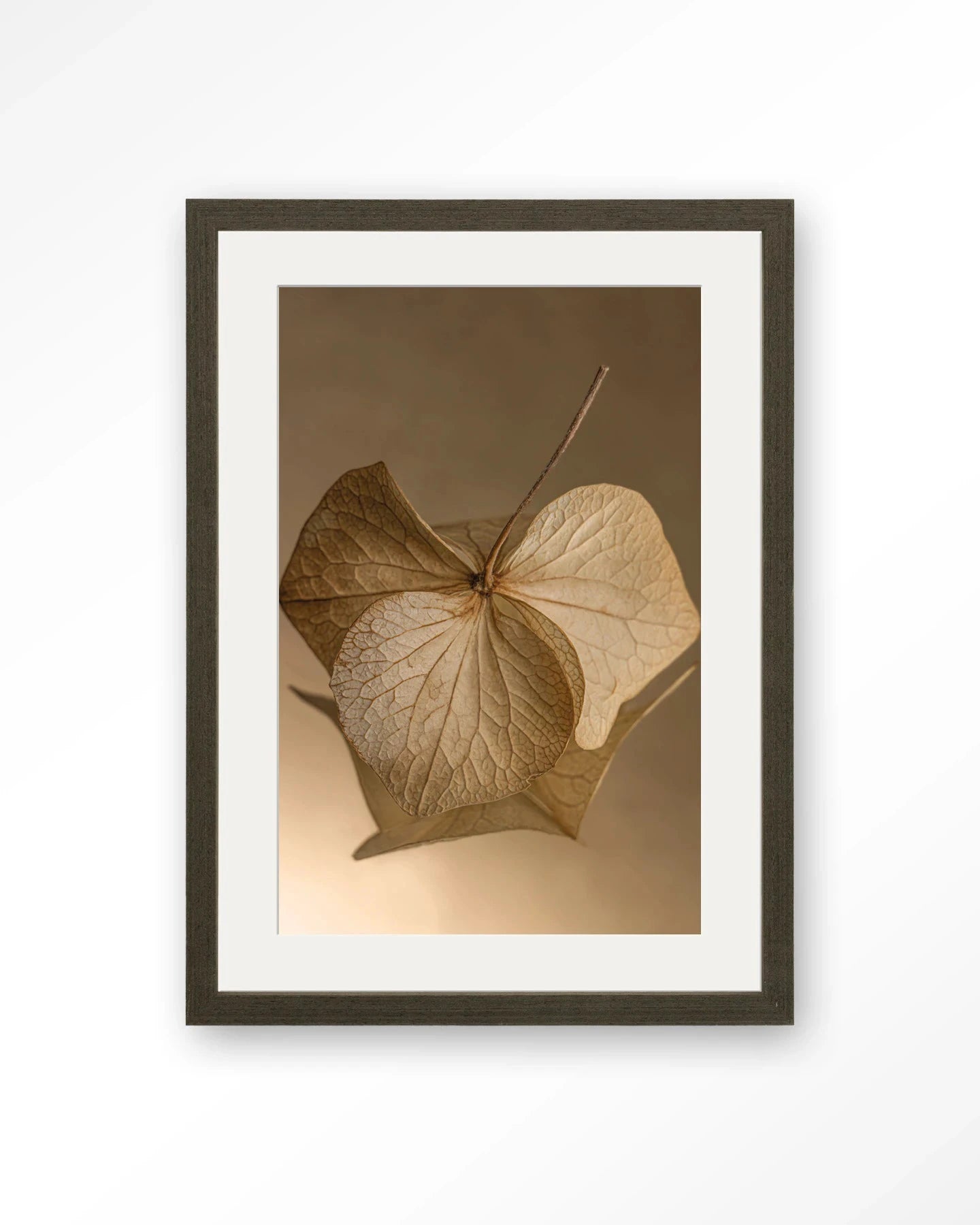 Leaf Me: Sheltered - Moderne Wanddecoratie | Artprint, Glass Art, Wandkleed by Urban Cotton