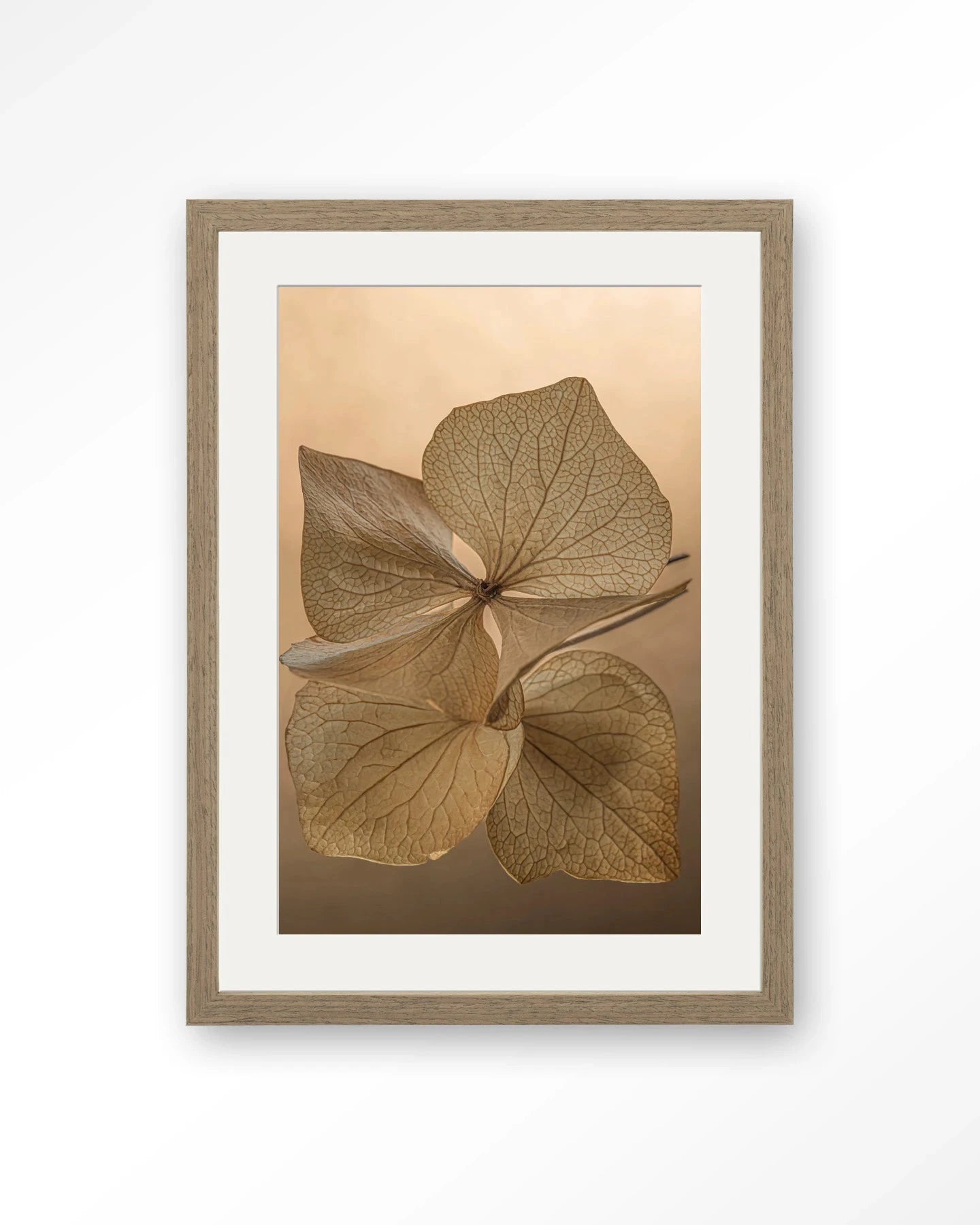 Leaf Me: Unfolded - Moderne Wanddecoratie | Artprint, Glass Art, Wandkleed by Urban Cotton