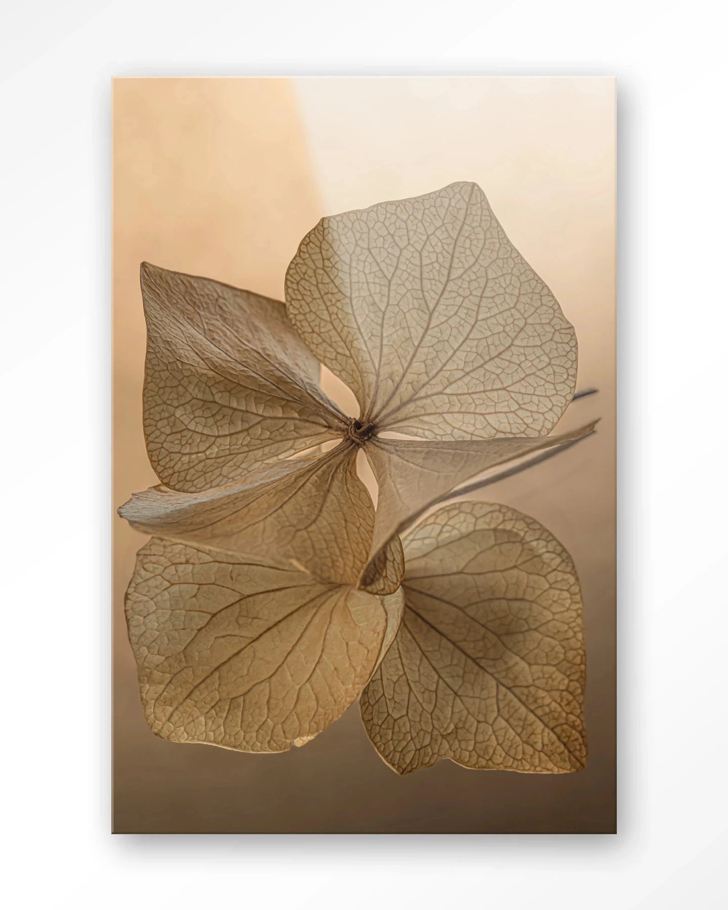 Leaf Me: Unfolded - Moderne Wanddecoratie | Artprint, Glass Art, Wandkleed by Urban Cotton