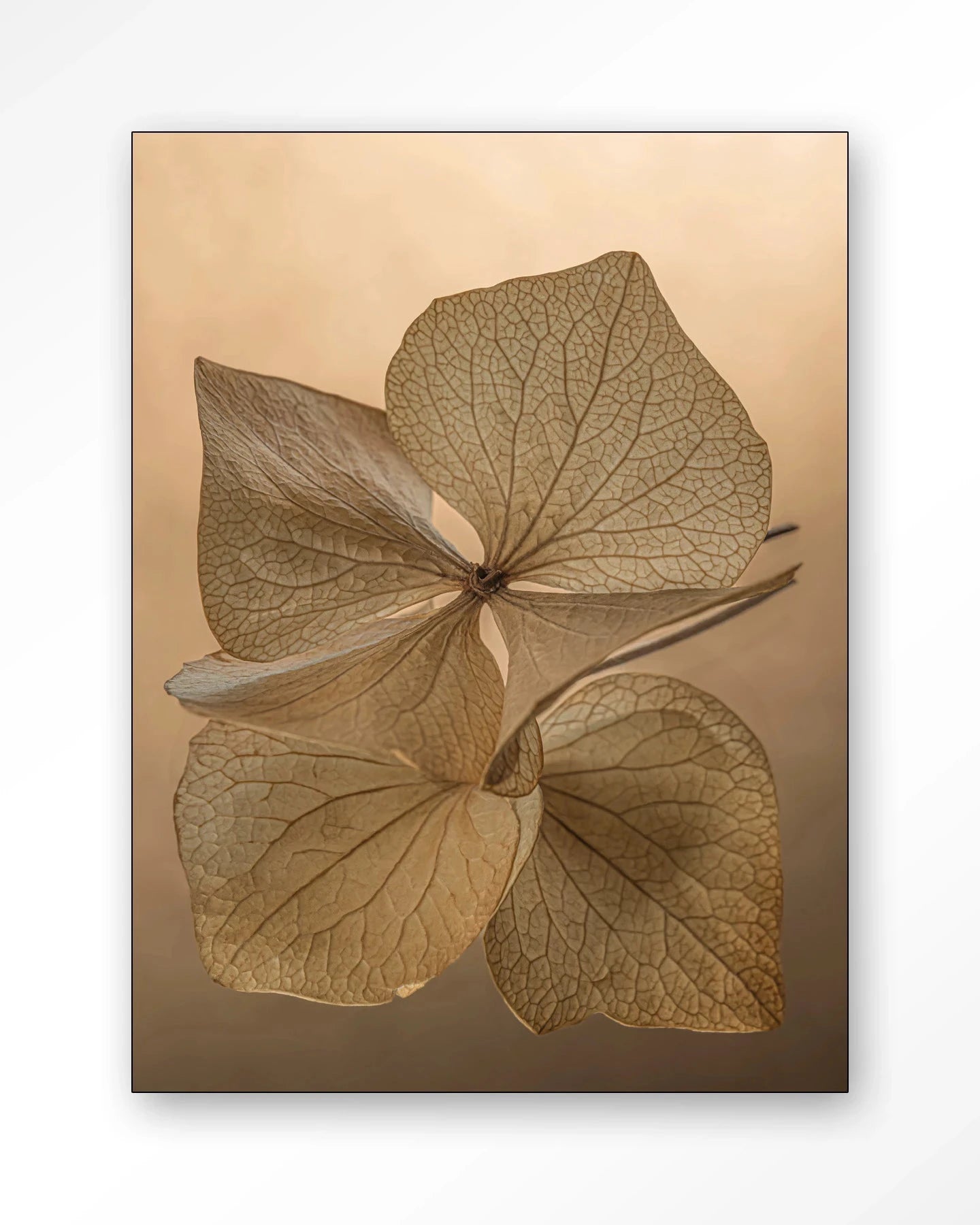 Leaf Me: Unfolded - Moderne Wanddecoratie | Artprint, Glass Art, Wandkleed by Urban Cotton