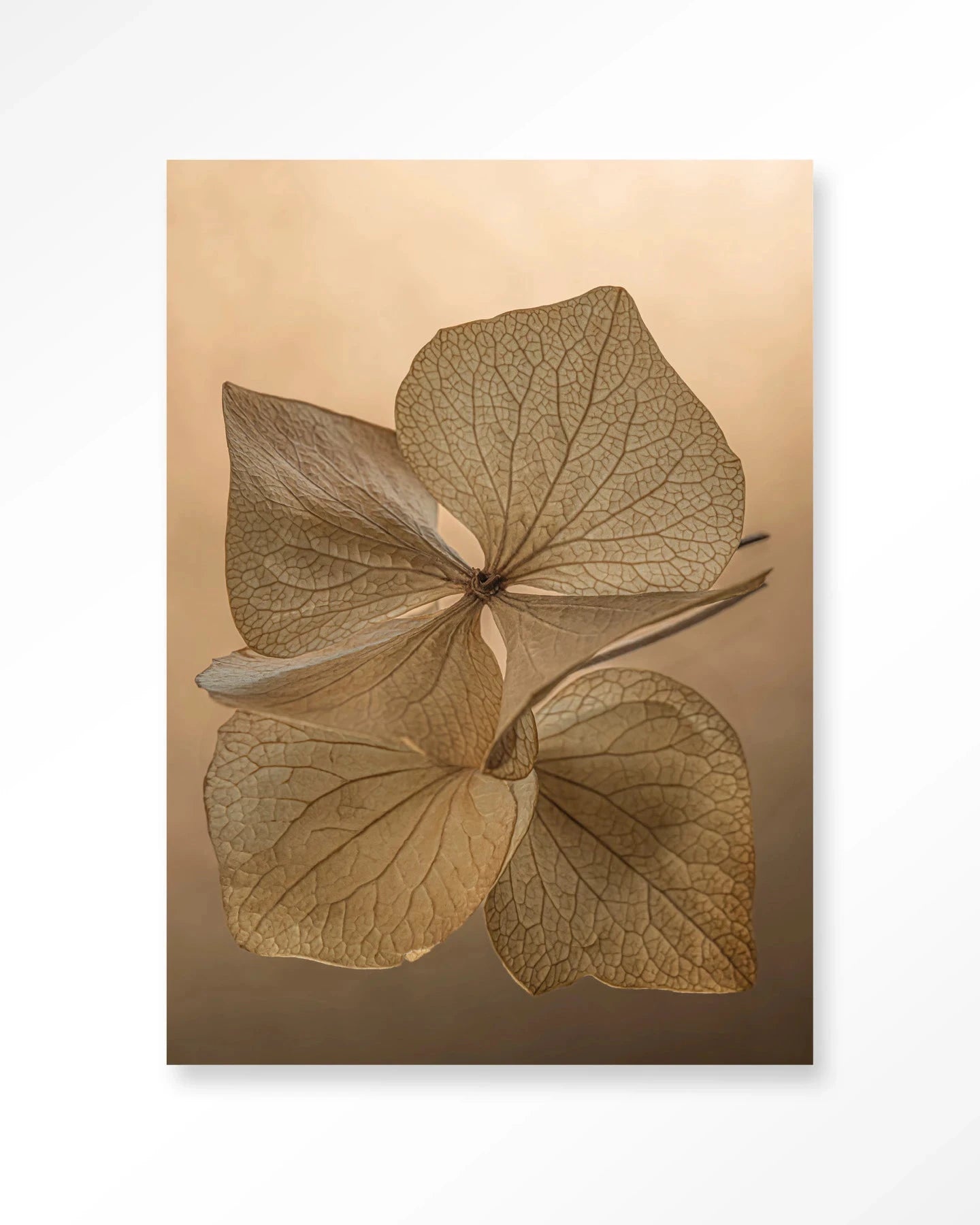 Leaf Me: Unfolded - Moderne Wanddecoratie | Artprint, Glass Art, Wandkleed by Urban Cotton