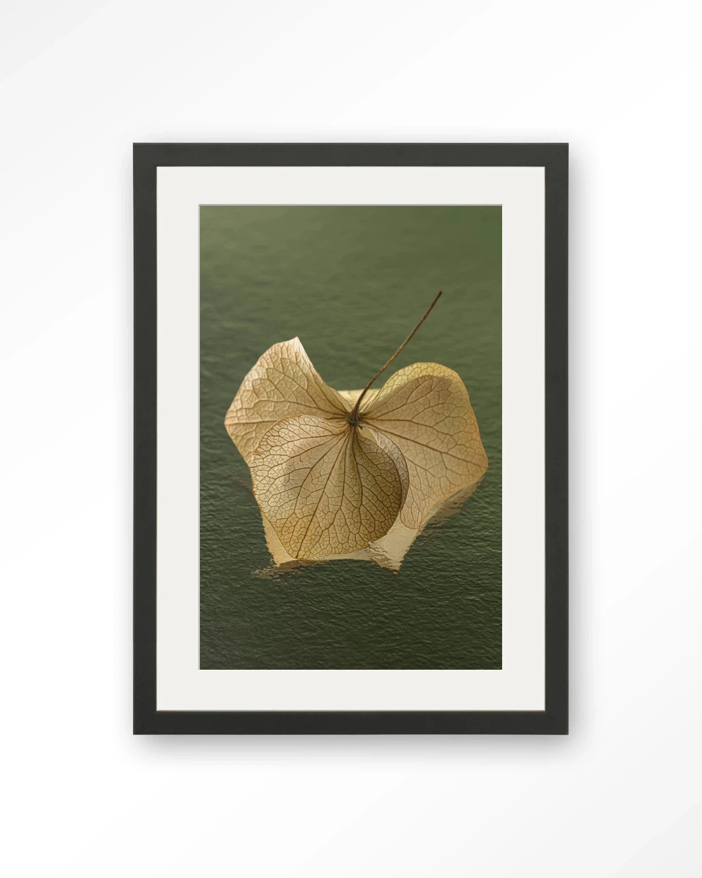 Leaf Me: In The Green - Moderne Wanddecoratie | Artprint, Glass Art, Wandkleed by Urban Cotton