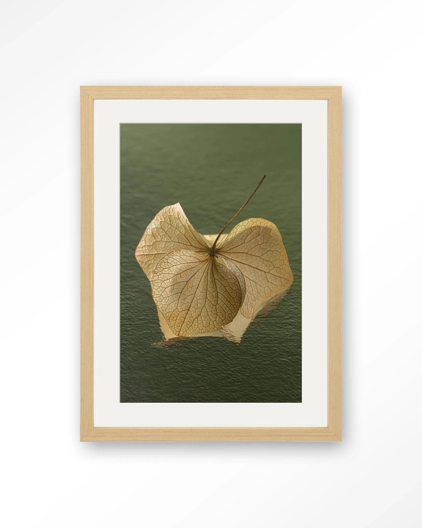Leaf Me: In The Green - Moderne Wanddecoratie | Artprint, Glass Art, Wandkleed by Urban Cotton