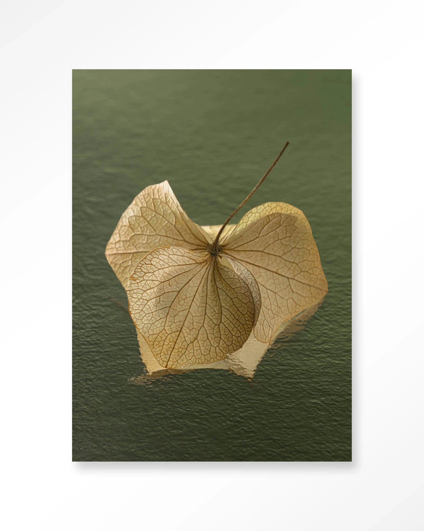 Leaf Me: In The Green - Moderne Wanddecoratie | Artprint, Glass Art, Wandkleed by Urban Cotton