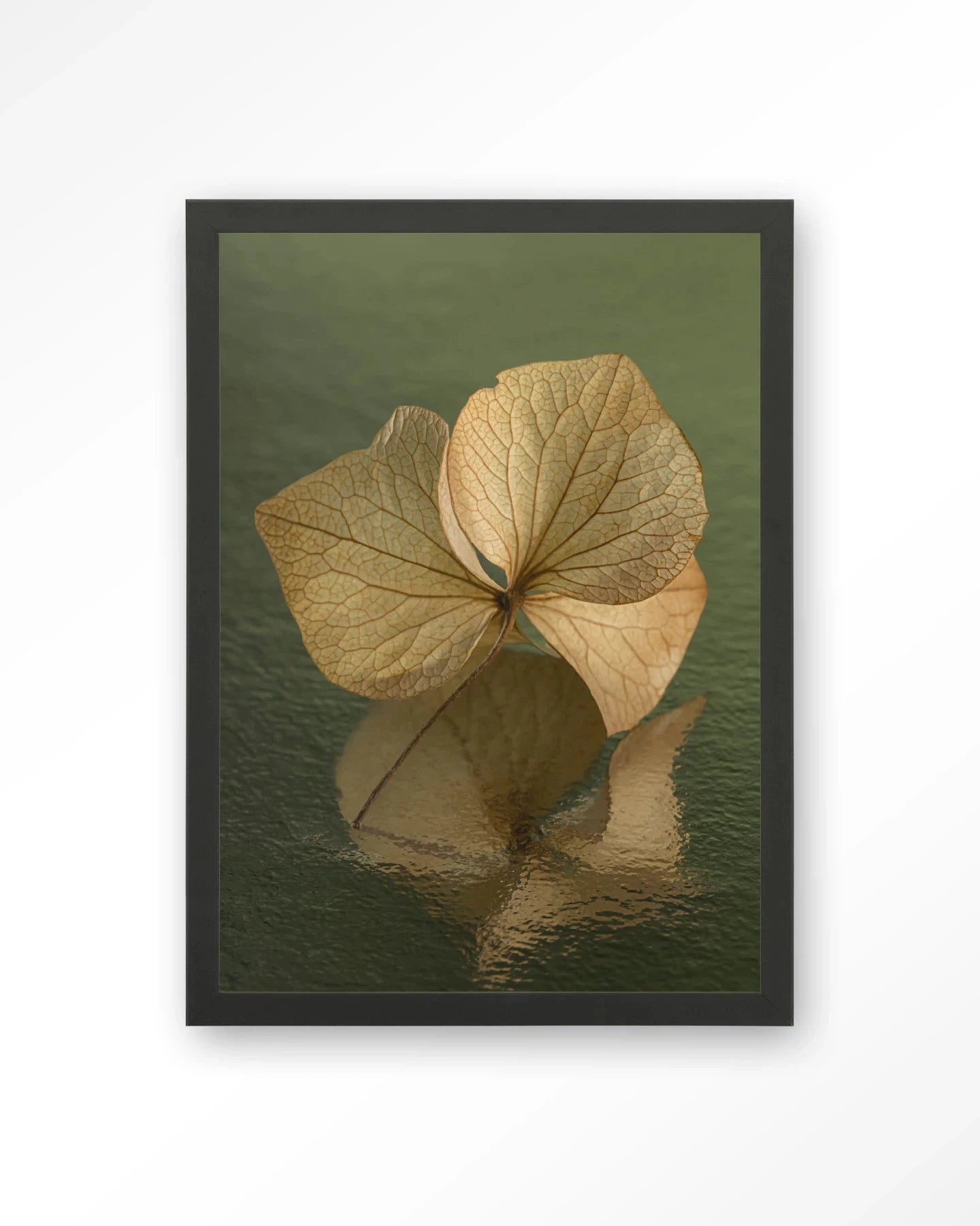 Leaf Me: In Reflection - Moderne Wanddecoratie | Artprint, Glass Art, Wandkleed by Urban Cotton