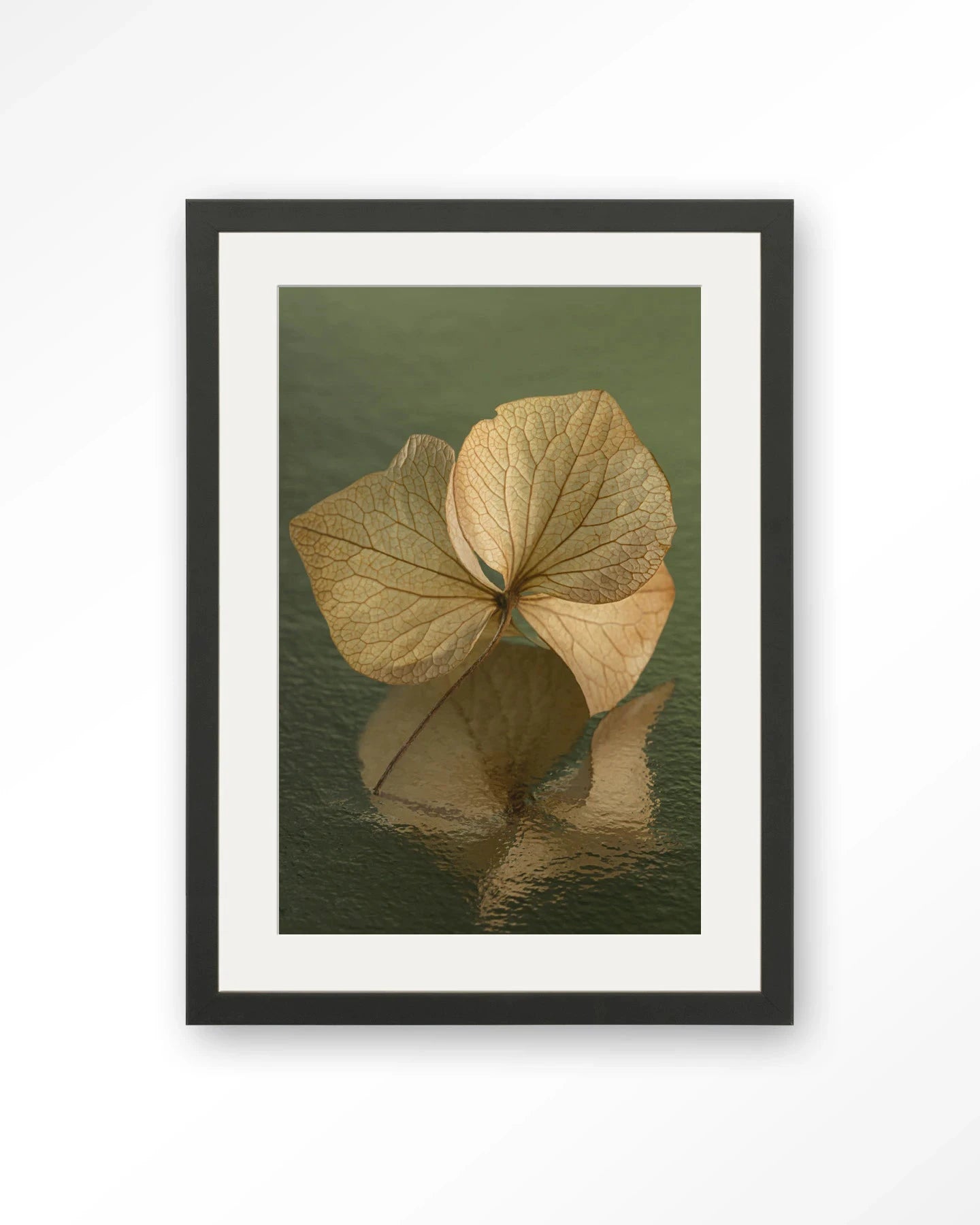 Leaf Me: In Reflection - Moderne Wanddecoratie | Artprint, Glass Art, Wandkleed by Urban Cotton