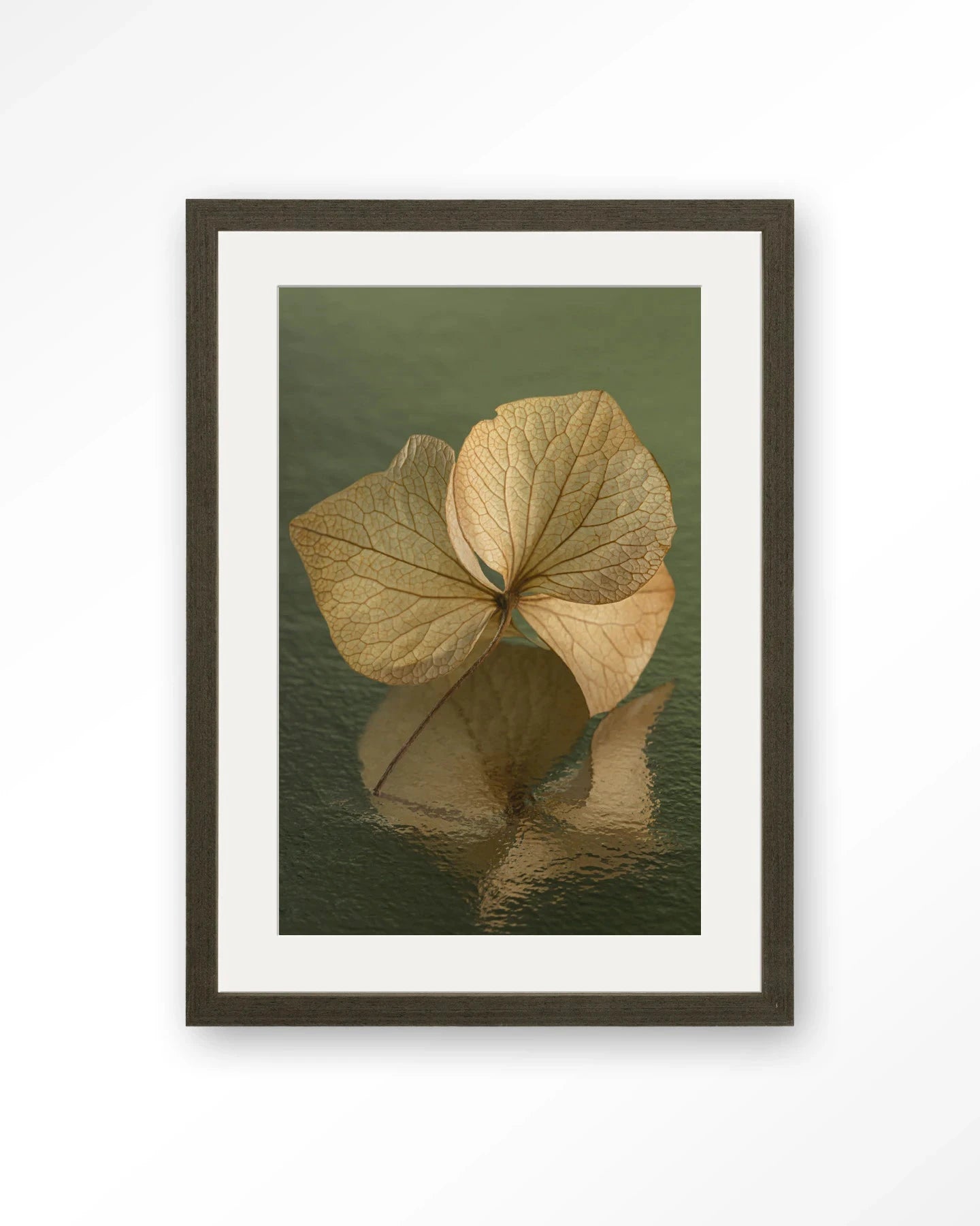 Leaf Me: In Reflection - Moderne Wanddecoratie | Artprint, Glass Art, Wandkleed by Urban Cotton