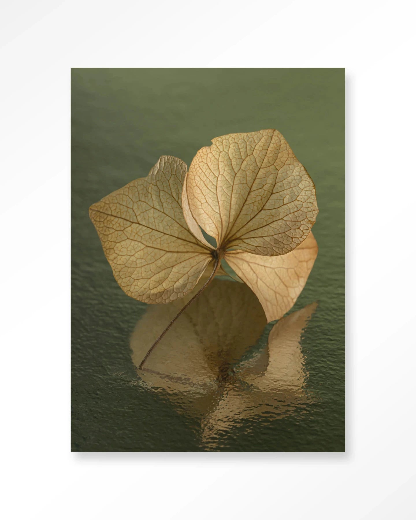 Leaf Me: In Reflection - Moderne Wanddecoratie | Artprint, Glass Art, Wandkleed by Urban Cotton