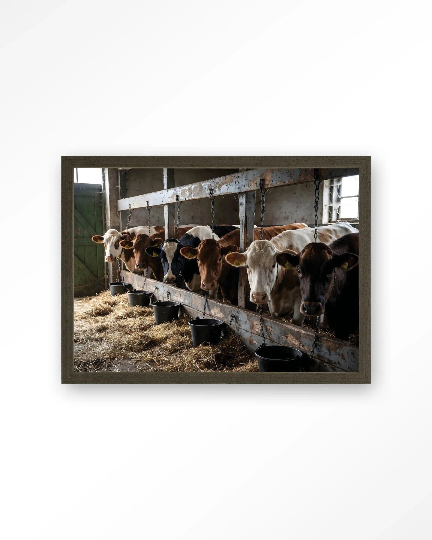 The Cow Barn - Moderne Wanddecoratie | Artprint, Glass Art, Wandkleed by Urban Cotton