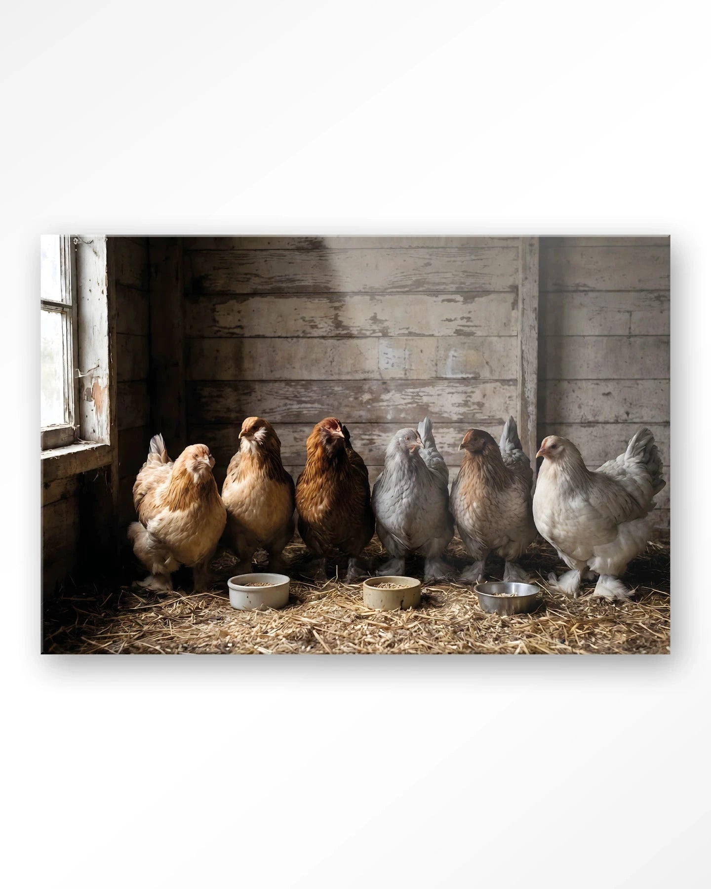 The Chicken Barn - Moderne Wanddecoratie | Artprint, Glass Art, Wandkleed by Urban Cotton