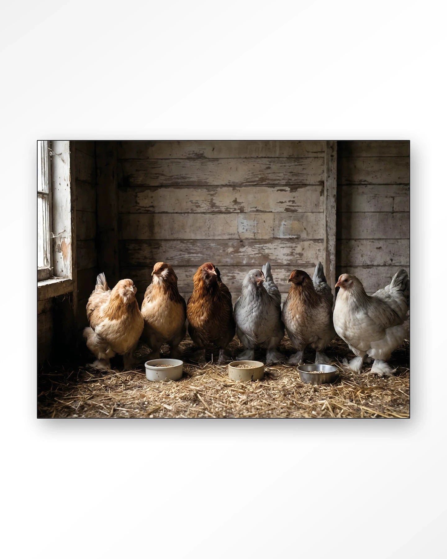 The Chicken Barn - Moderne Wanddecoratie | Artprint, Glass Art, Wandkleed by Urban Cotton