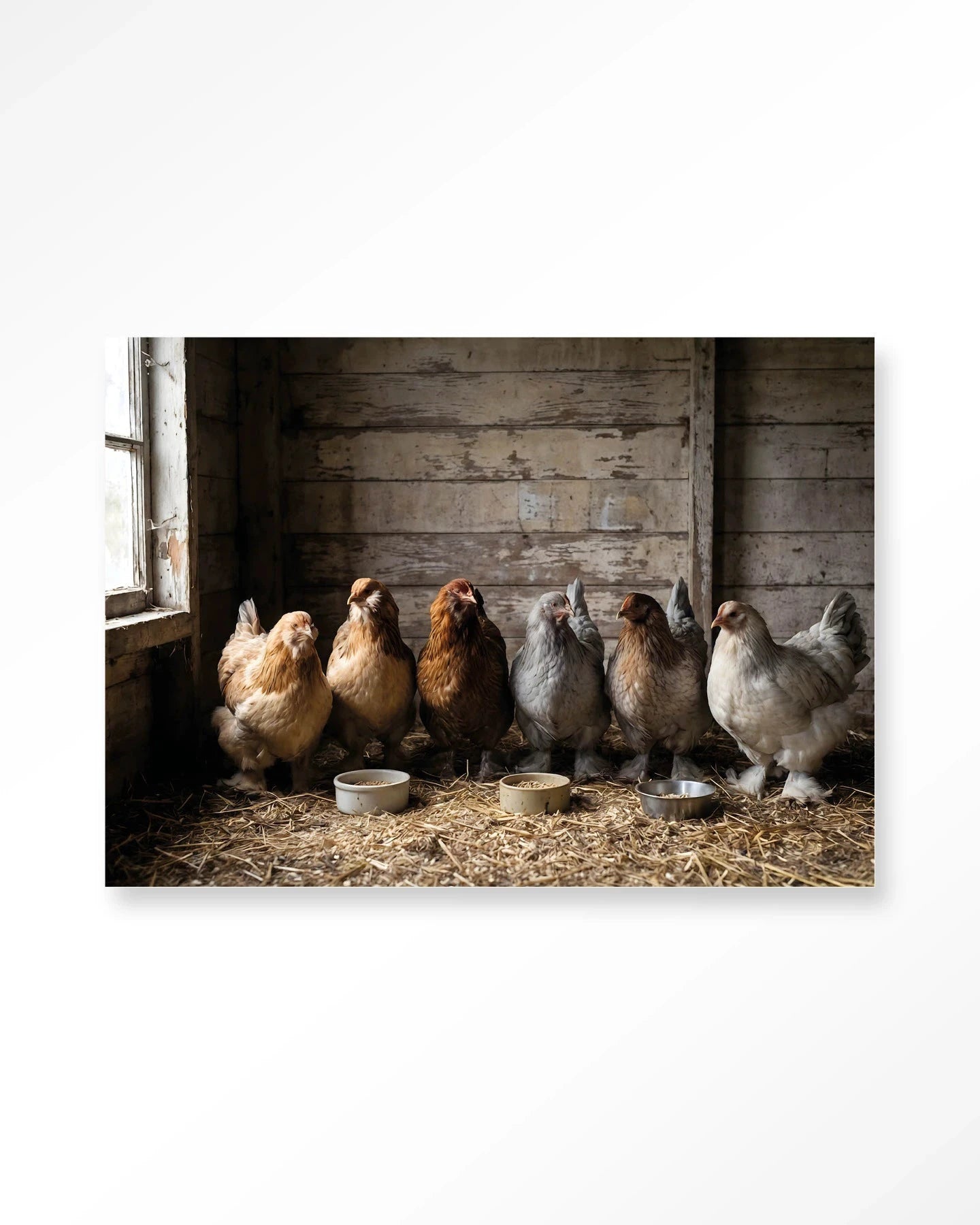 The Chicken Barn - Moderne Wanddecoratie | Artprint, Glass Art, Wandkleed by Urban Cotton