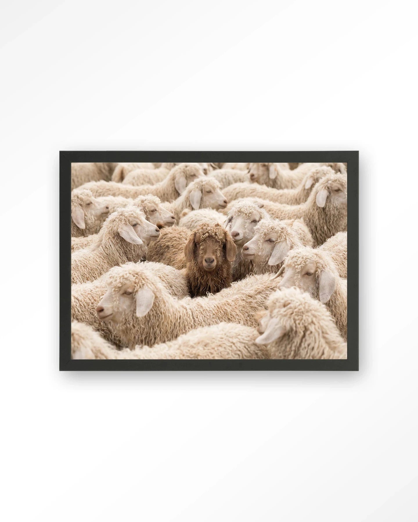 The Herd - Moderne Wanddecoratie | Artprint, Glass Art, Wandkleed by Urban Cotton