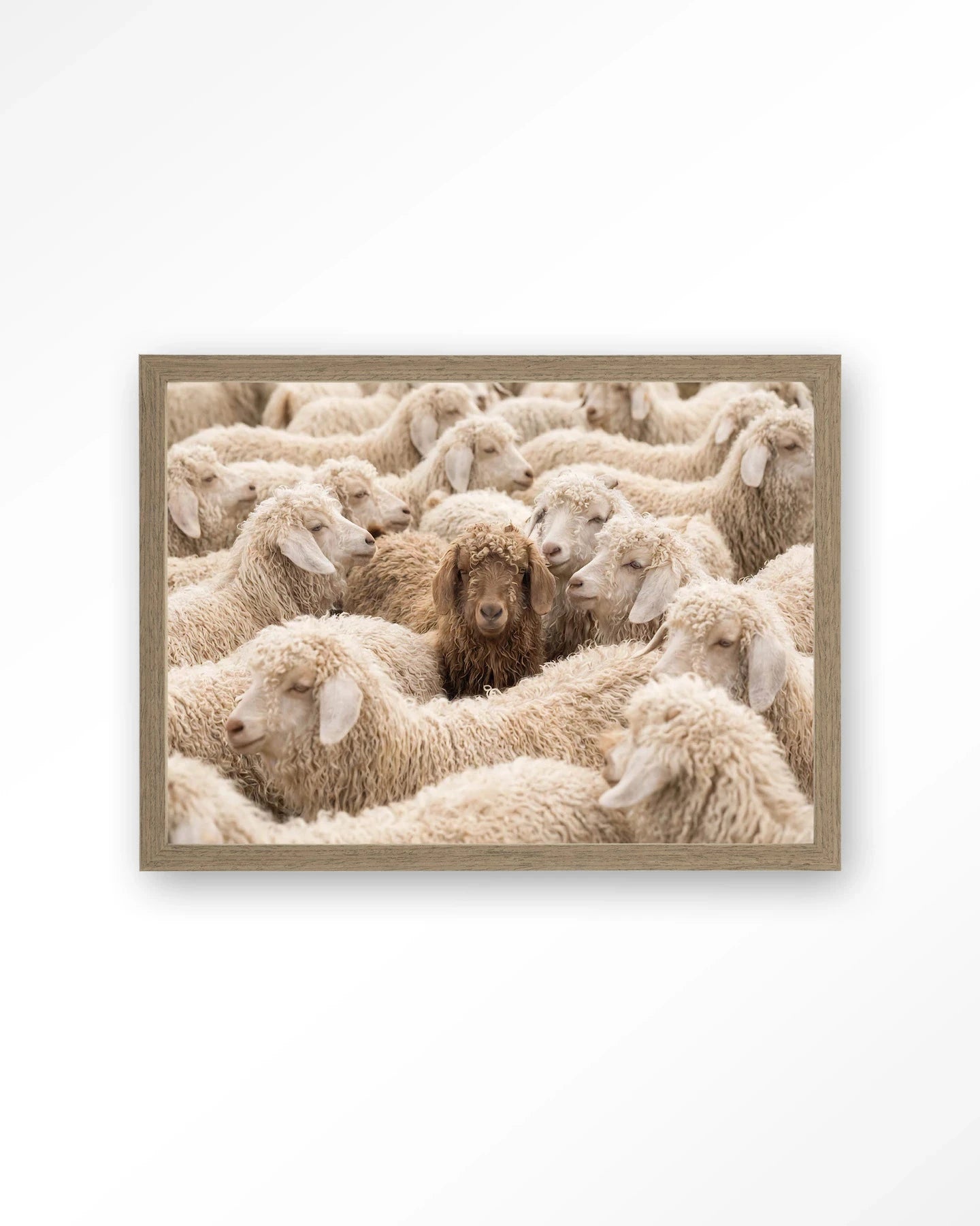 The Herd - Moderne Wanddecoratie | Artprint, Glass Art, Wandkleed by Urban Cotton