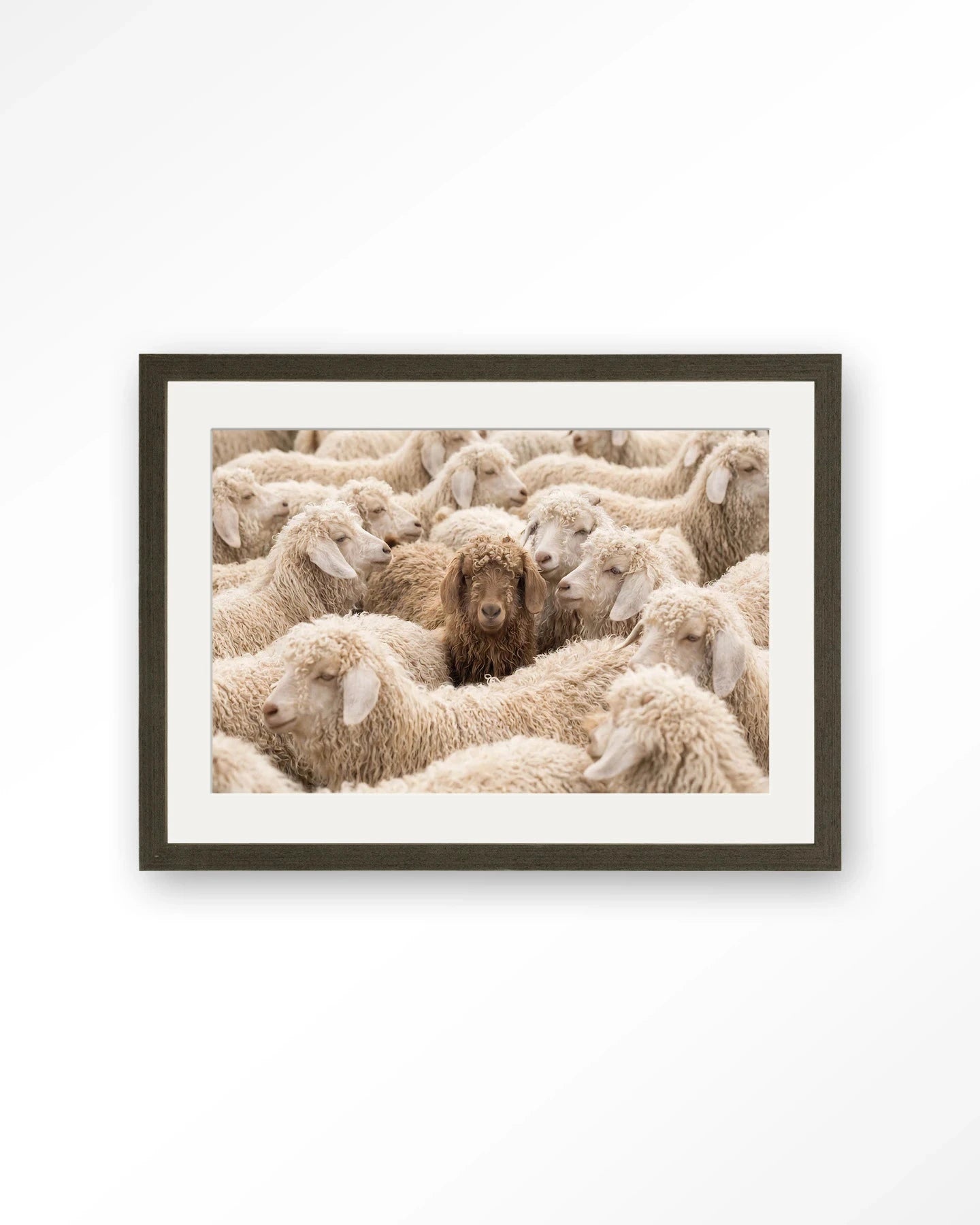 The Herd - Moderne Wanddecoratie | Artprint, Glass Art, Wandkleed by Urban Cotton