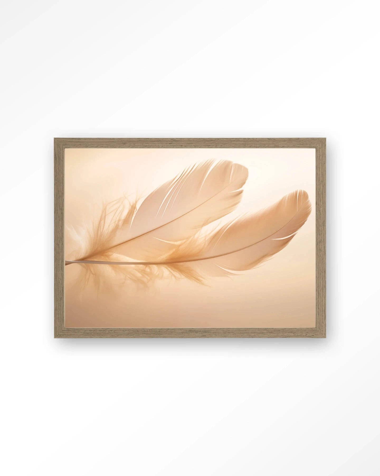 Light Feather - Moderne Wanddecoratie | Artprint, Glass Art, Wandkleed by Urban Cotton