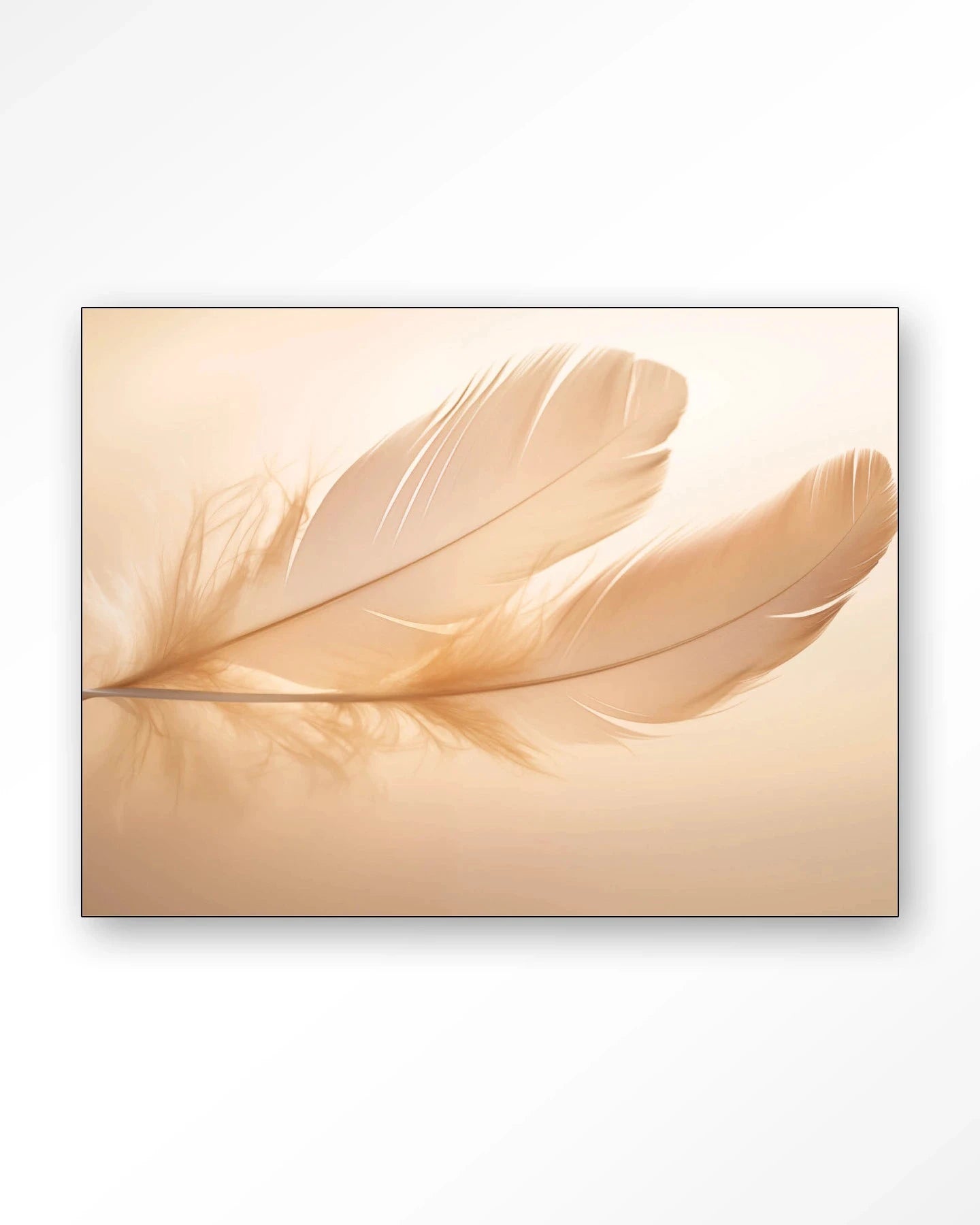 Light Feather - Moderne Wanddecoratie | Artprint, Glass Art, Wandkleed by Urban Cotton