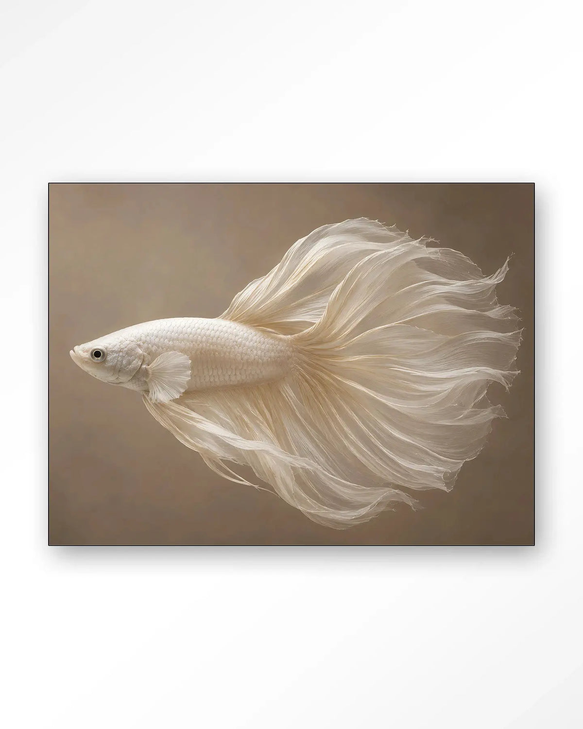 Pearl Fish - Moderne Wanddecoratie | Artprint, Glass Art & Wandkleed by Urban Cotton