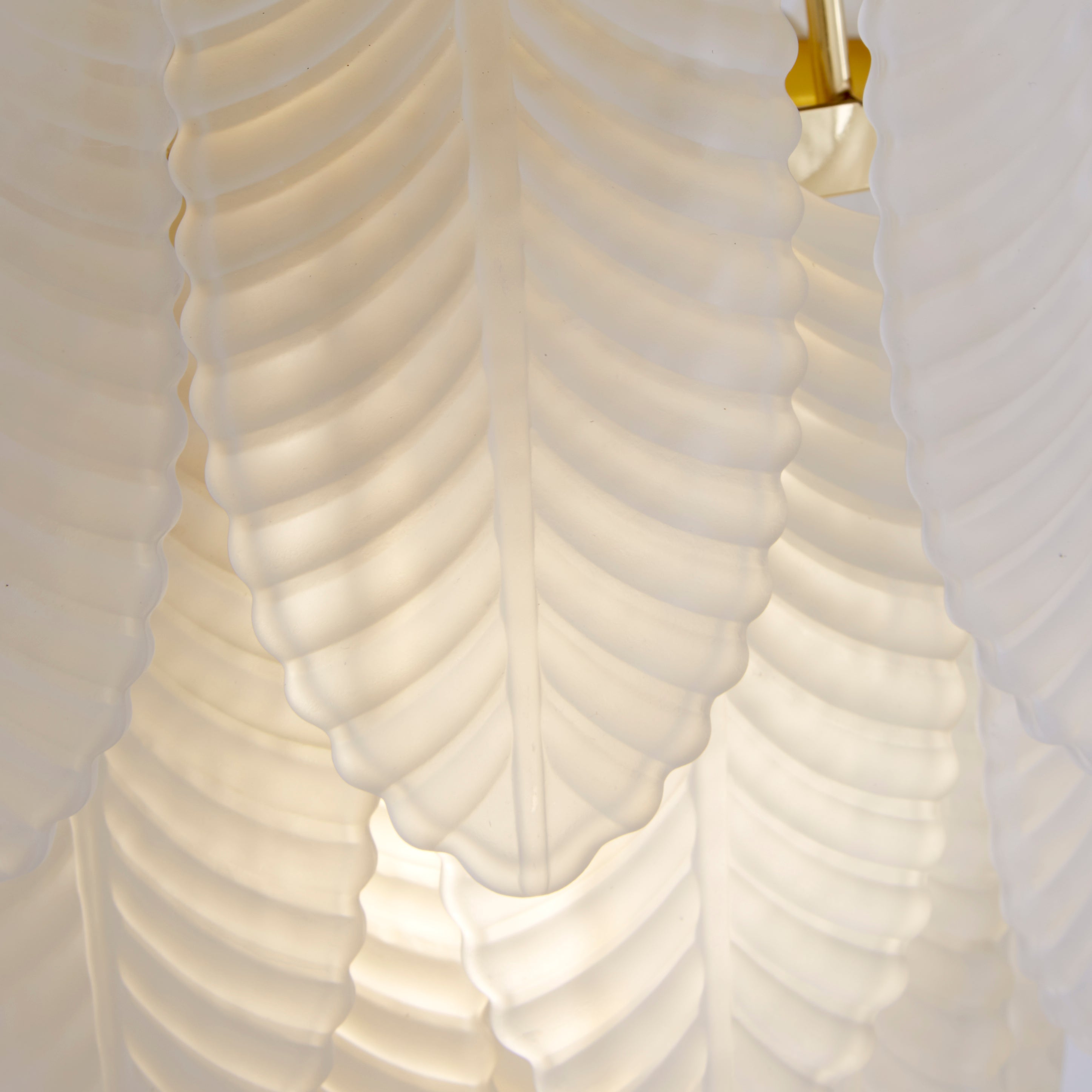 Feather Wall Light, Polished Brass with Frosted Feather Gla