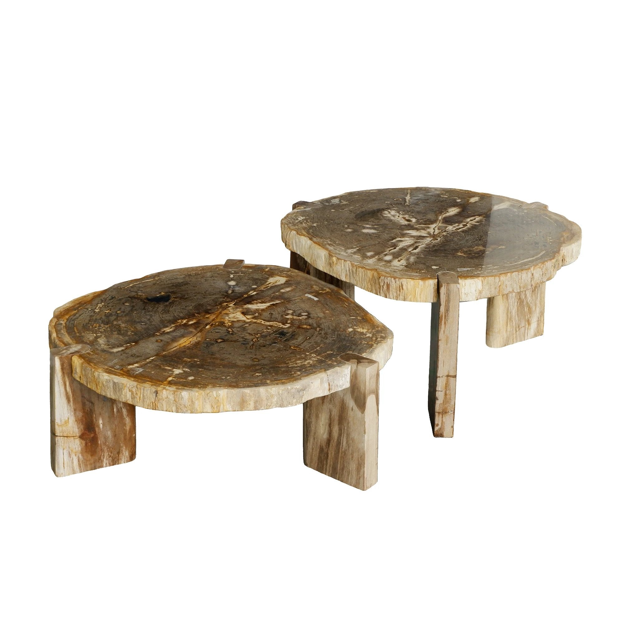 Salontafel Kayo Natural van versteend hout by PTMD