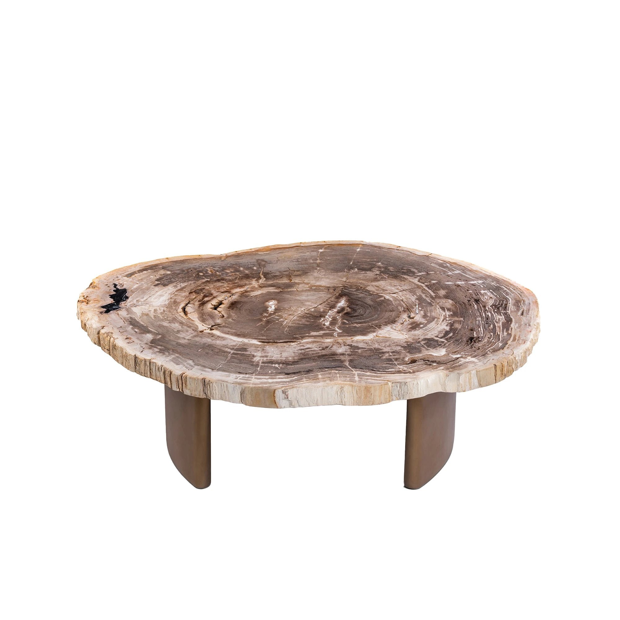 Salontafel Yoel van natuurlijk versteend hout met messing onderstel by PTMD