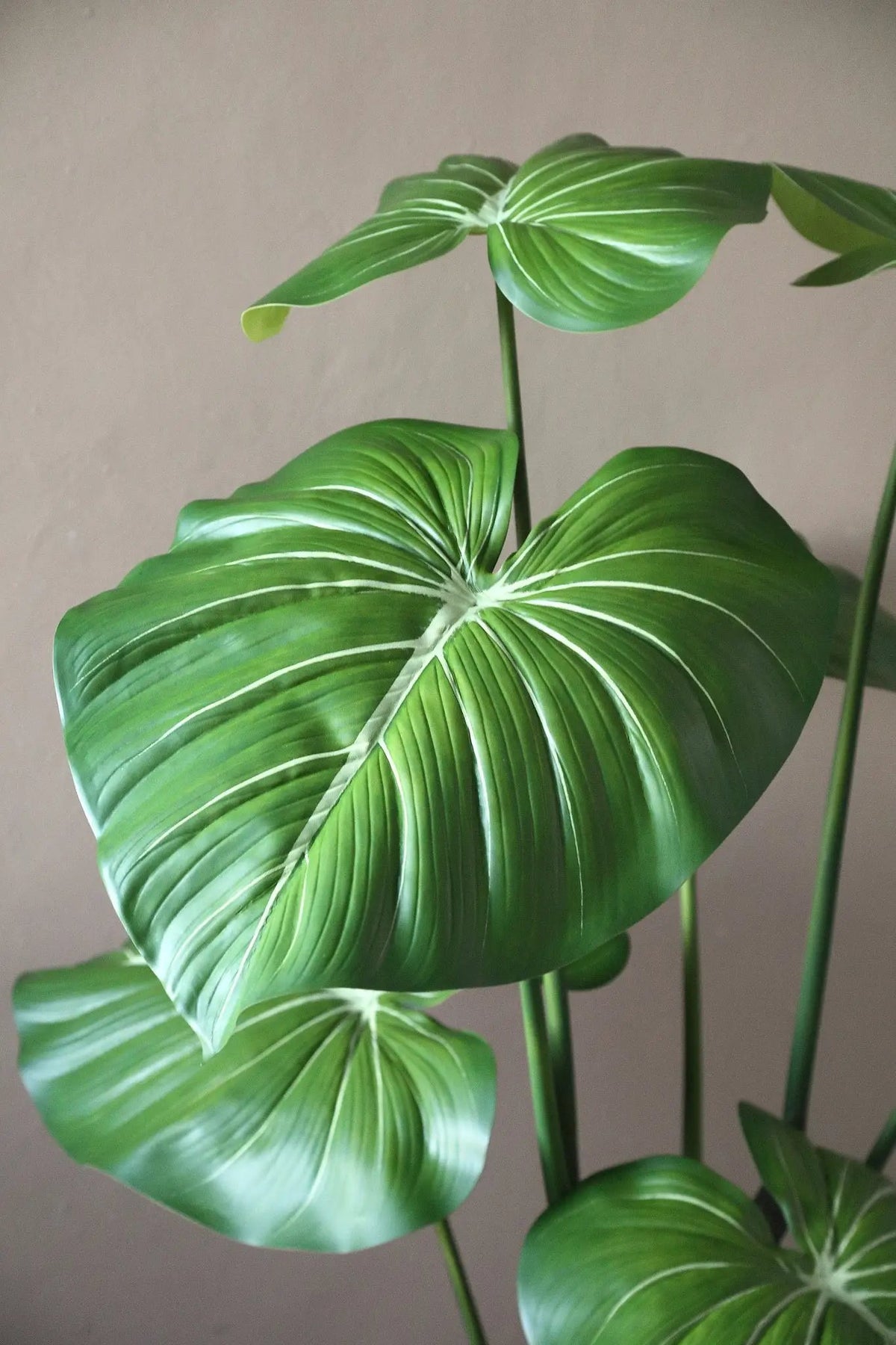 Groene Philodendron plant in zwarte pot, PTMD, met grote bladeren en decoratieve uitstraling in interieurdecoratie.