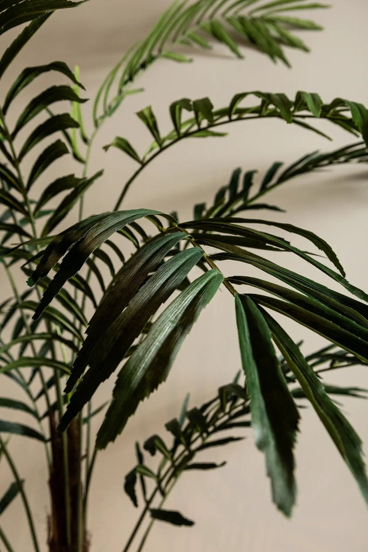 Grote groene palmboom in een zwarte pot, PTMD, decoratief binnen- of buitenplant, levendig groen en weelderig blad