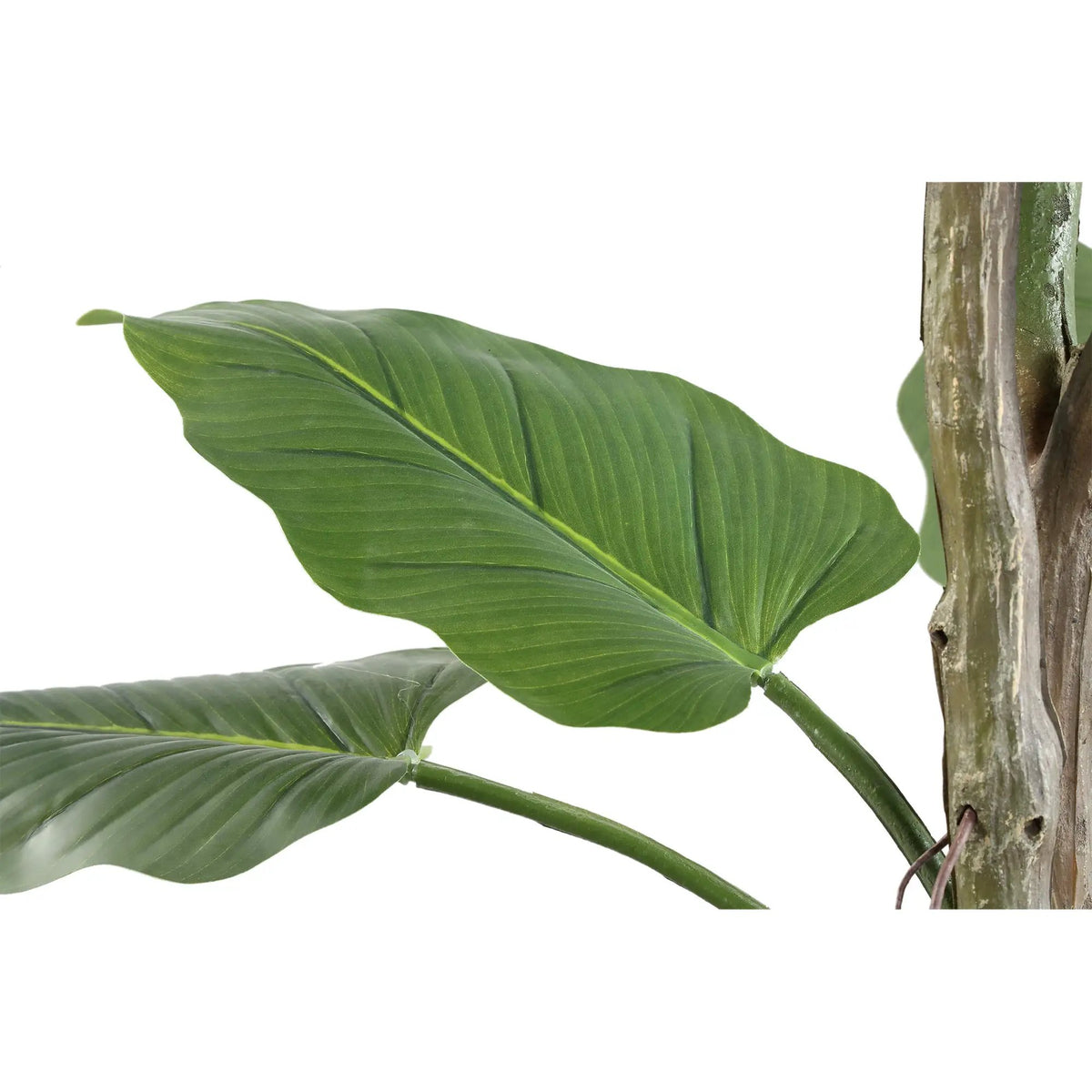 Grote groene Philodendron in zwarte pot van PTMD, levendig blad en volle uitstraling, ideaal voor binnenruimte.
