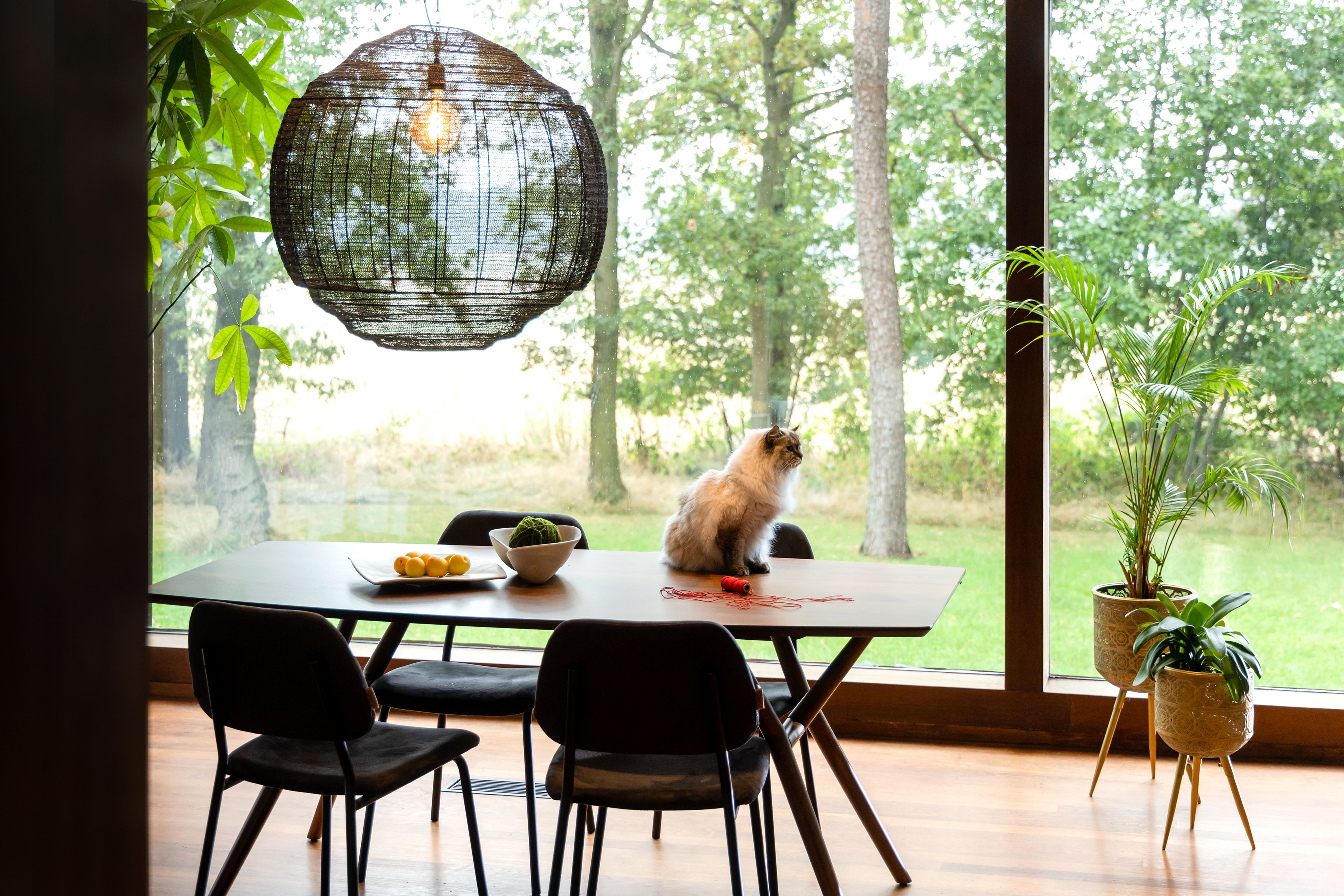 Pendant Lamp Meezan Black Xl