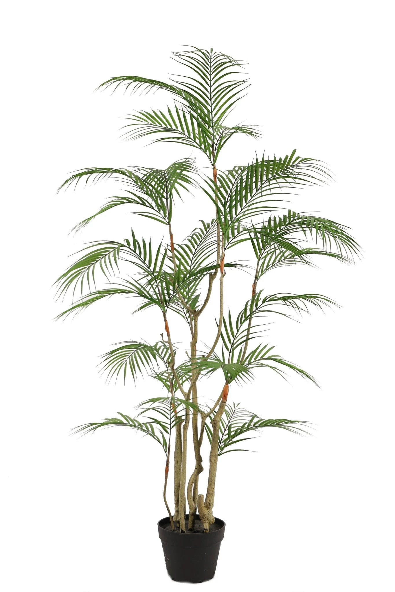 Kunstplant Tropische Areca palm 140cm by NeverLeafs
