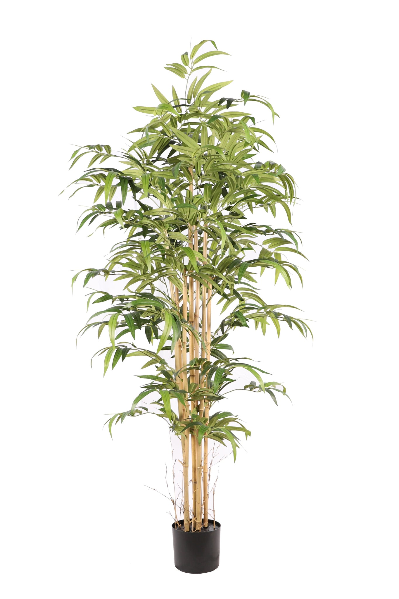 Kunstplant Bamboe Japanse 180cm