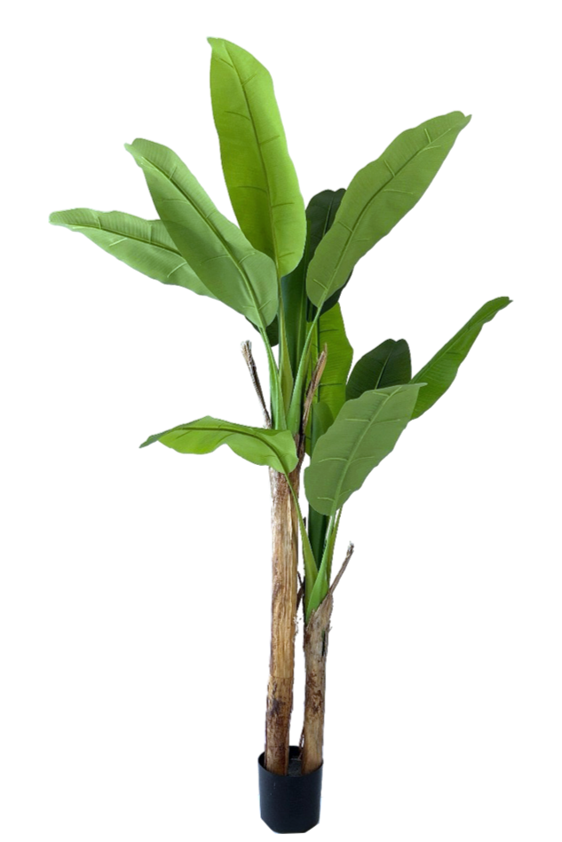 Kunstplant bananenplant 160cm by NeverLeafs