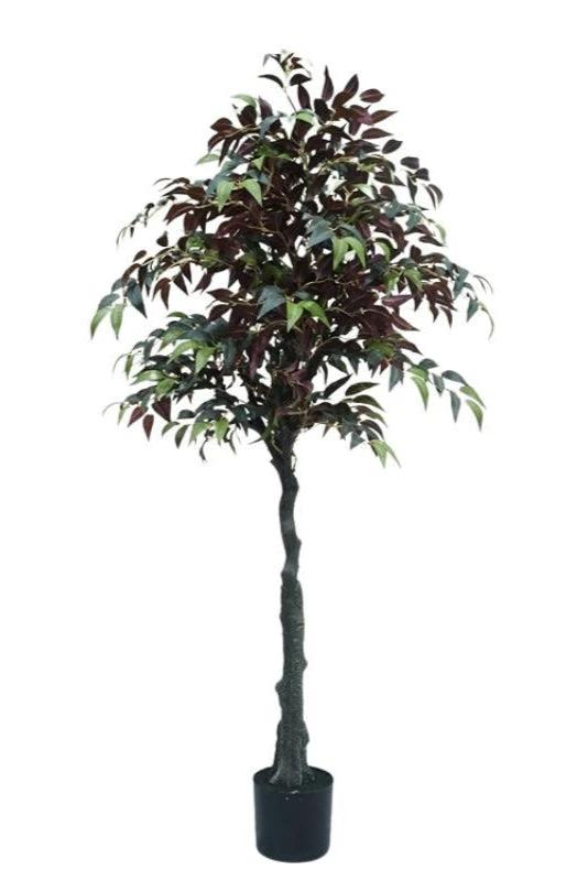 Kunstplant Ficus 150cm by NeverLeafs
